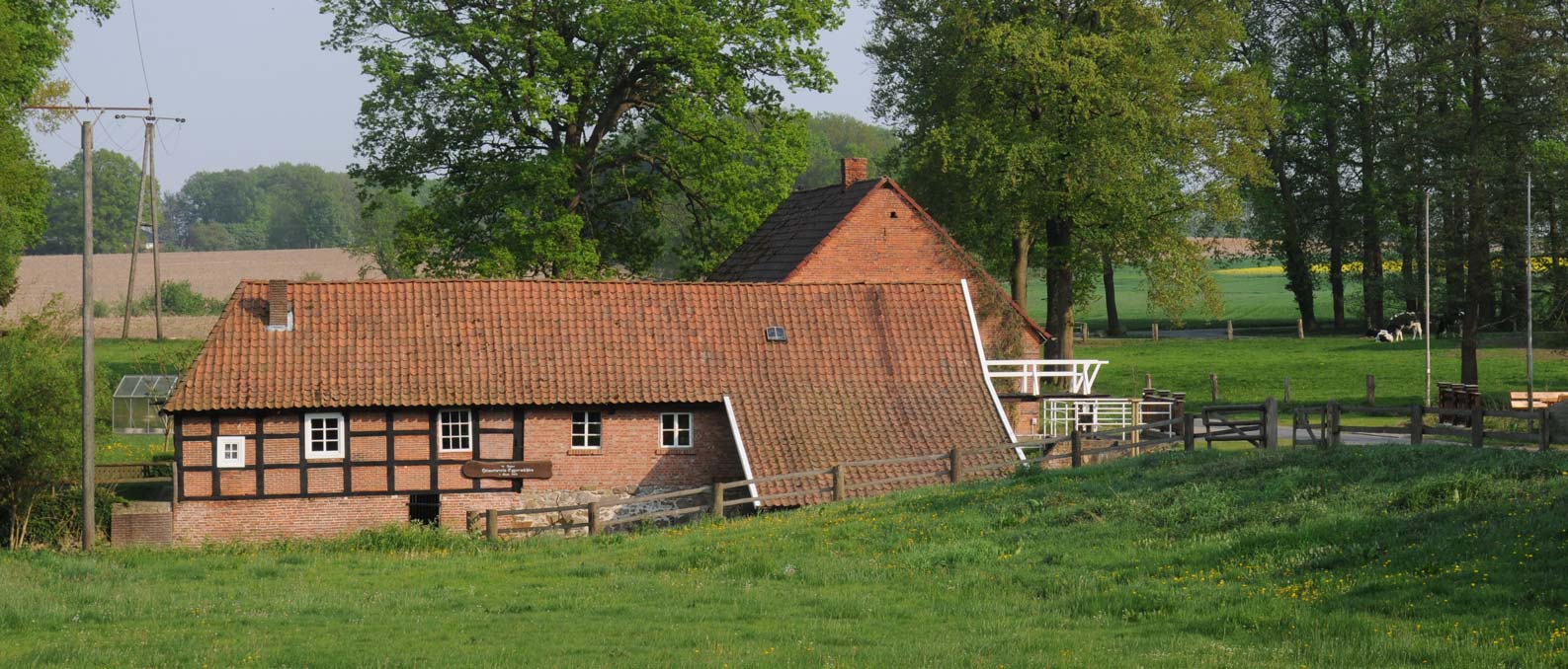 GGE_0503.jpg