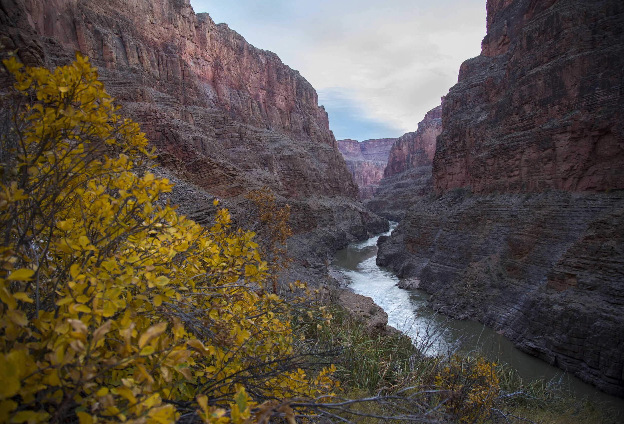 2018_01_04_GrandCanyon_Tom6D_598.jpg