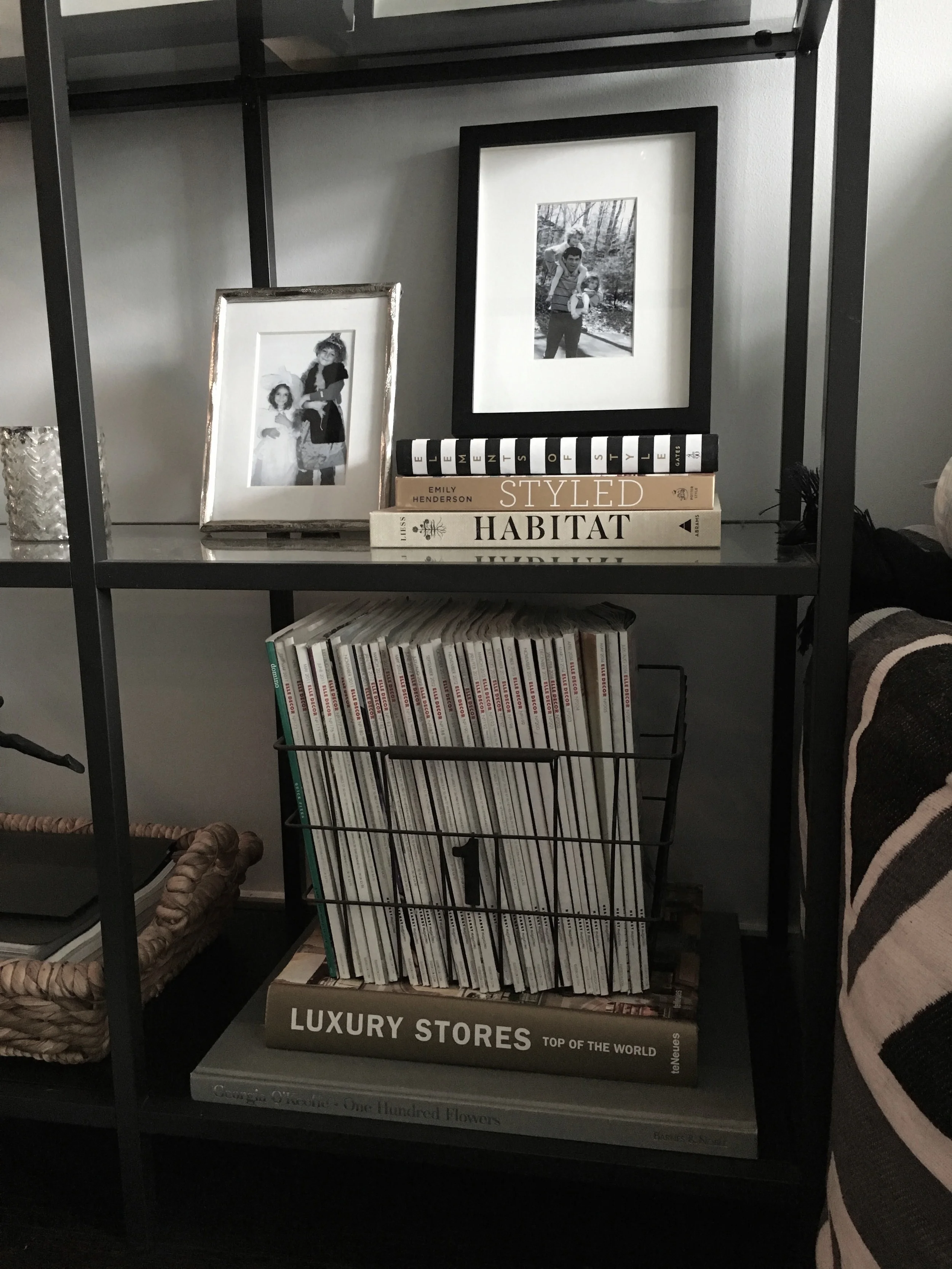 Living Room Shelfie.