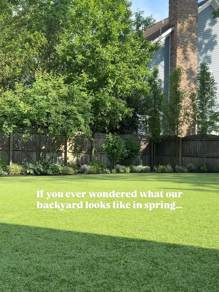 If you&rsquo;ve ever wondered what our backyard looks like in the spring, here&rsquo;s a little peek&hellip; 

All of the plants you see here are from @perennialfarmmarketplace, my favorite nursery to order perennials from. Their variety and quality 