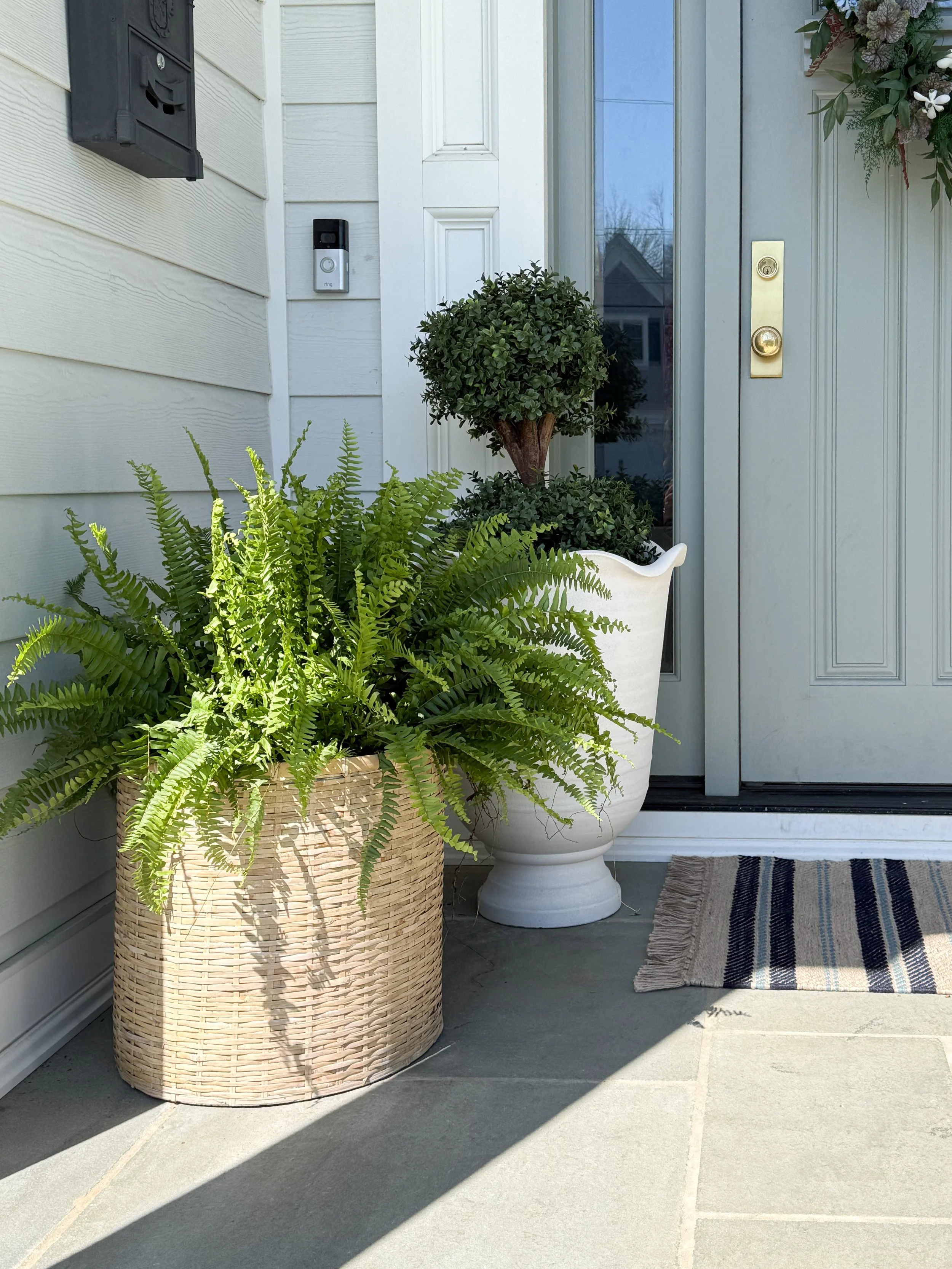 Close up of woven planter with lush green fern next to white planter and front door entry