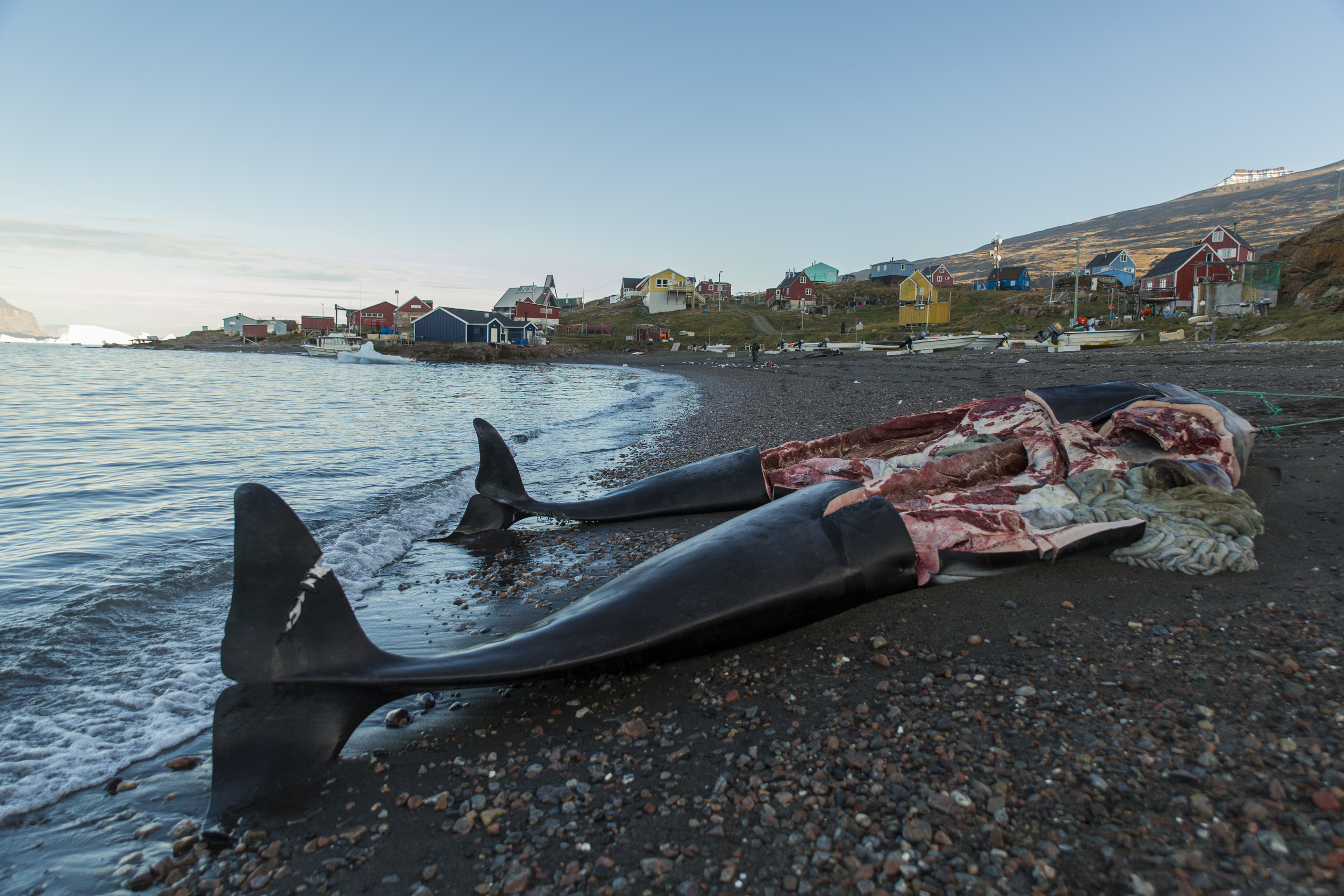 Aug_2014_Greenland_394.jpg