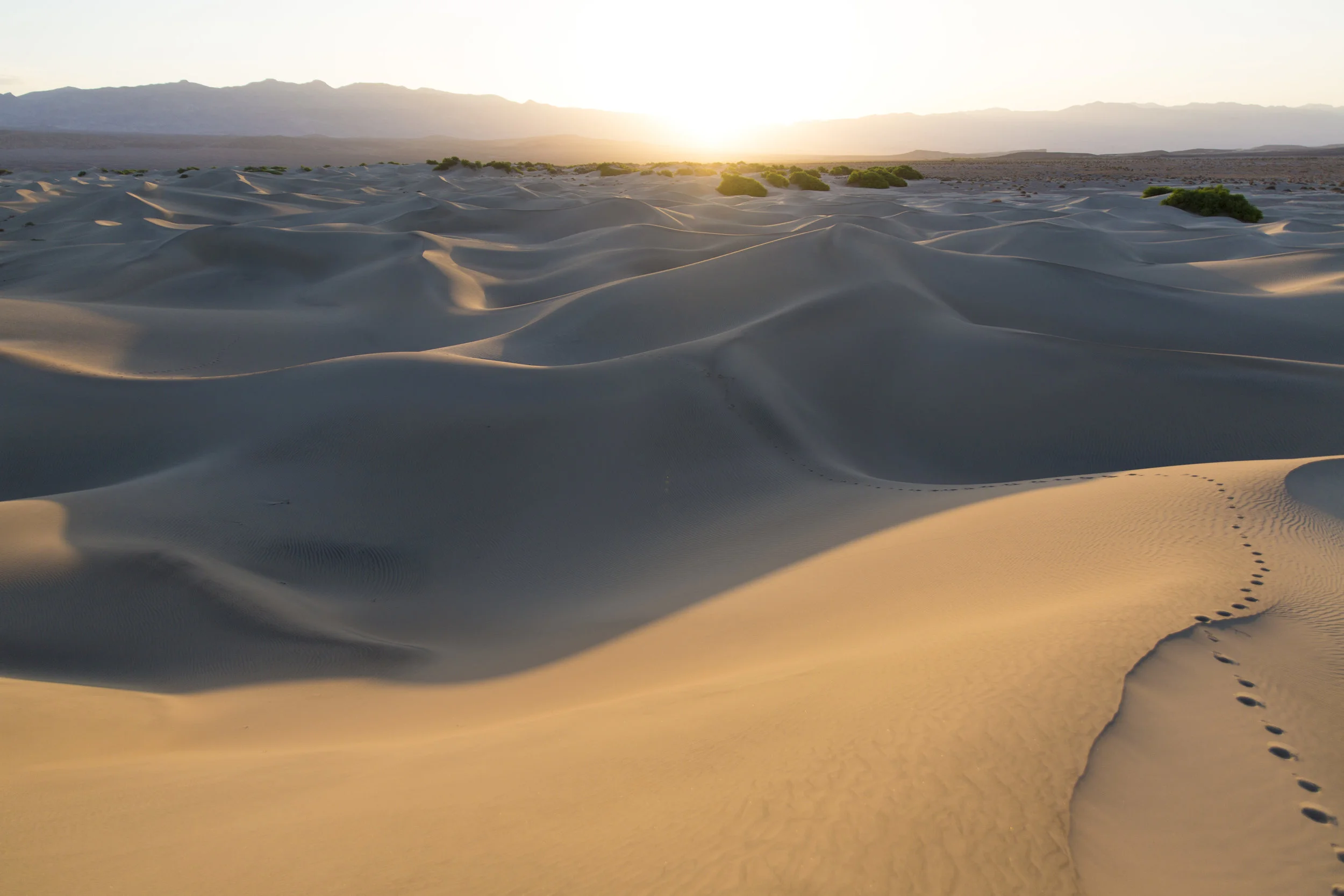 March_2014_DeathValley_473.JPG