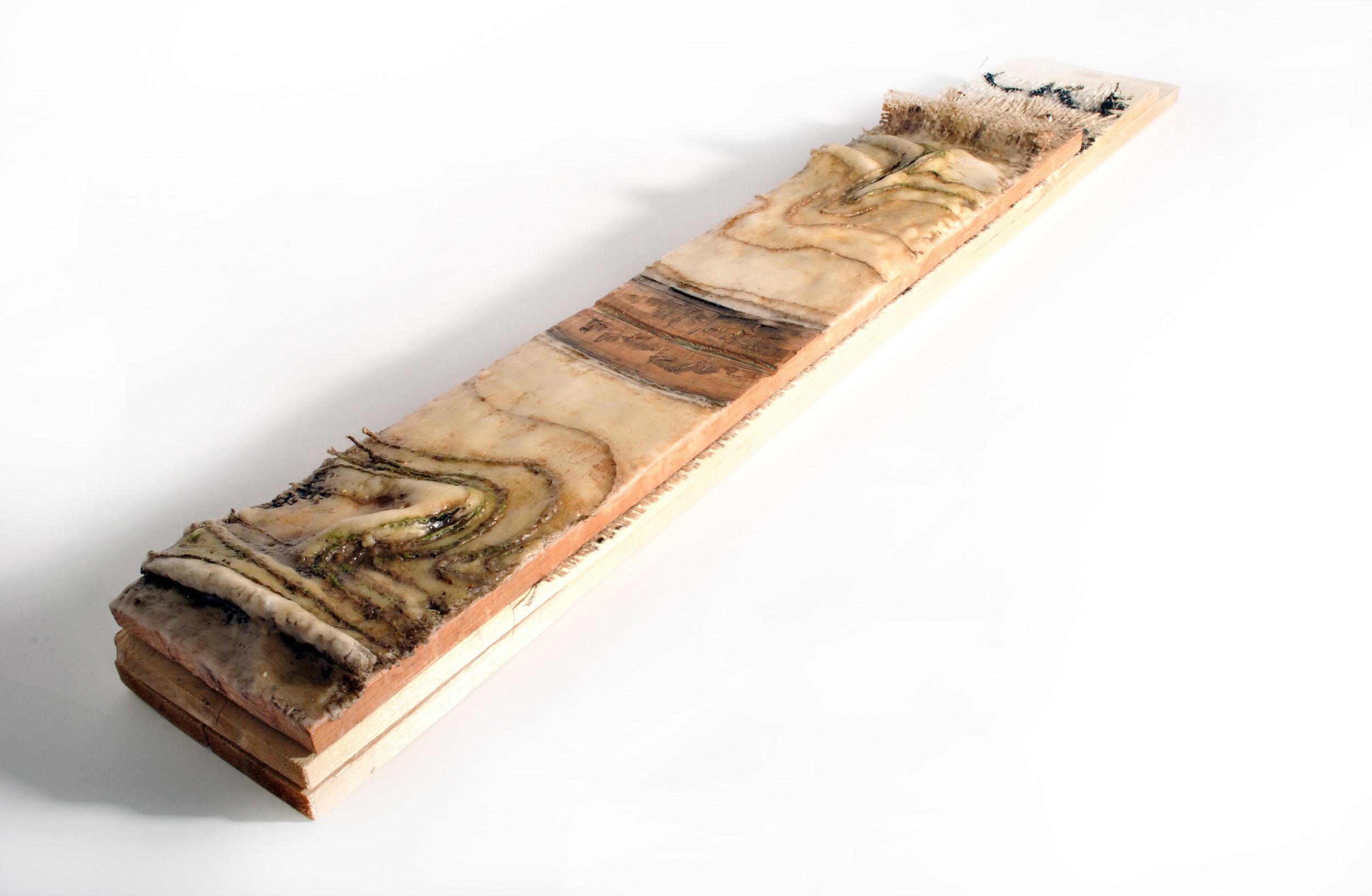 "Poetic transect" model cutting through the Rift Valley.