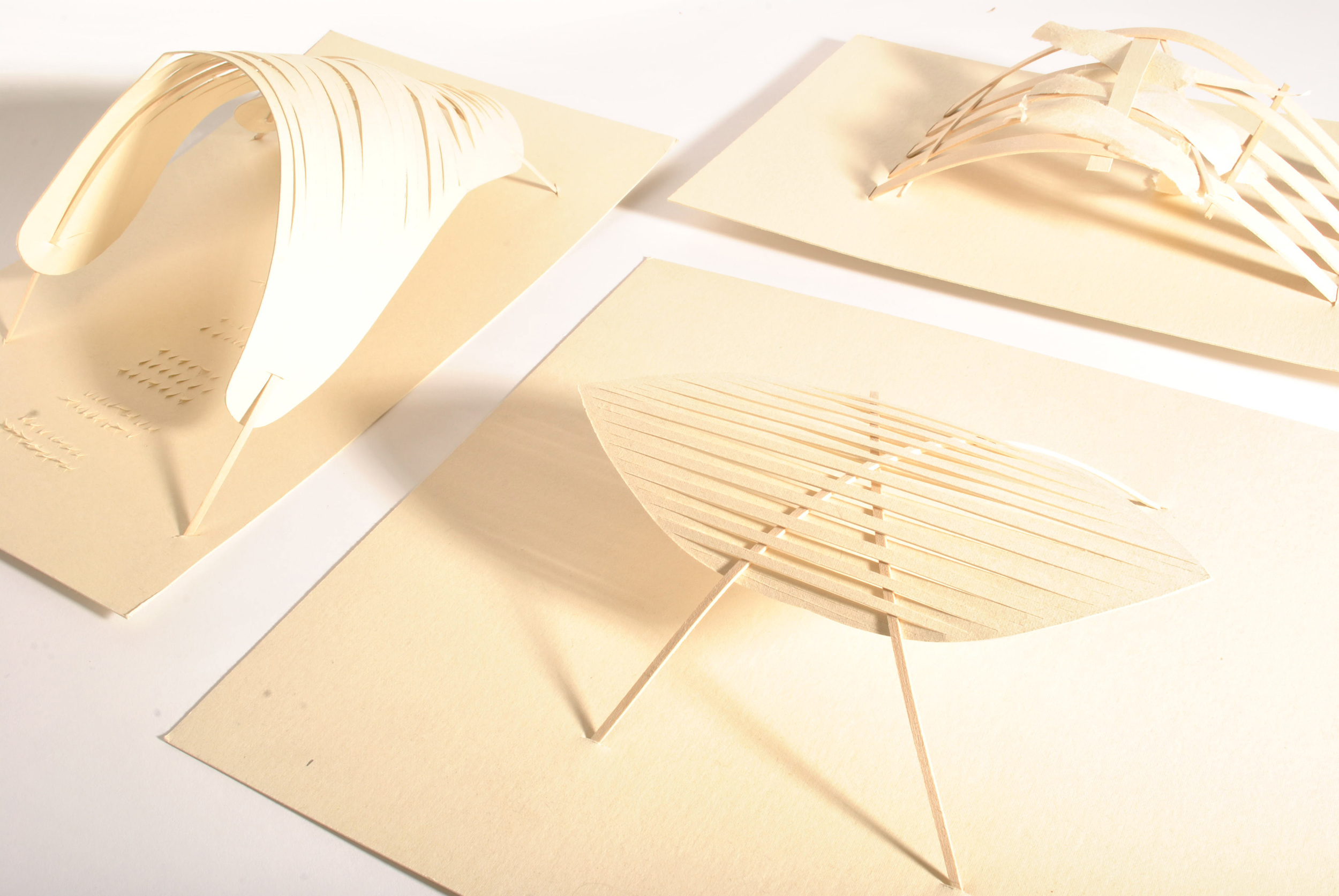 Shade structure studies.