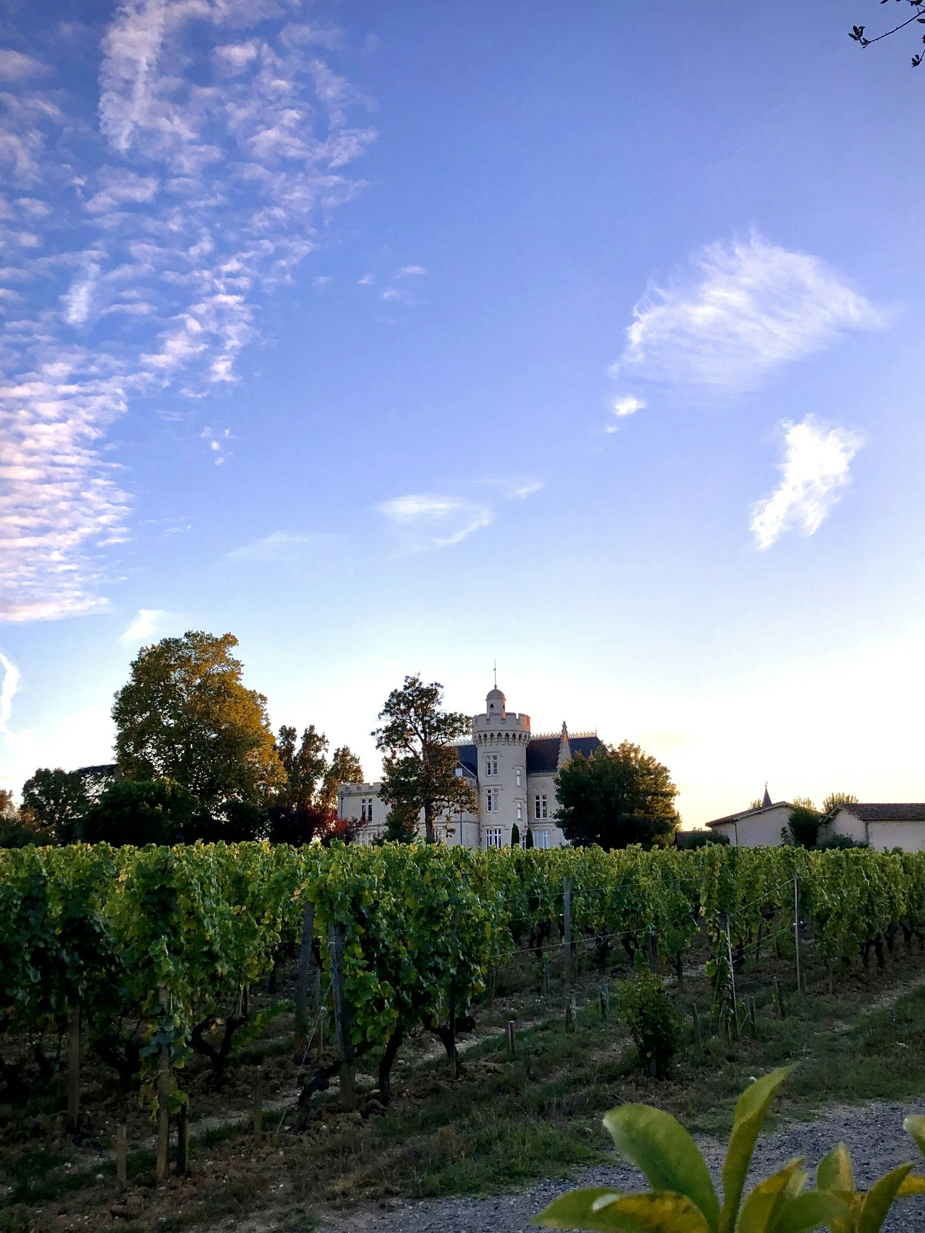  #1724 - 17th - 24th July - 2 cooks/friends required for a busy family holiday - Poitou-Charentes, France (Bordeaux)