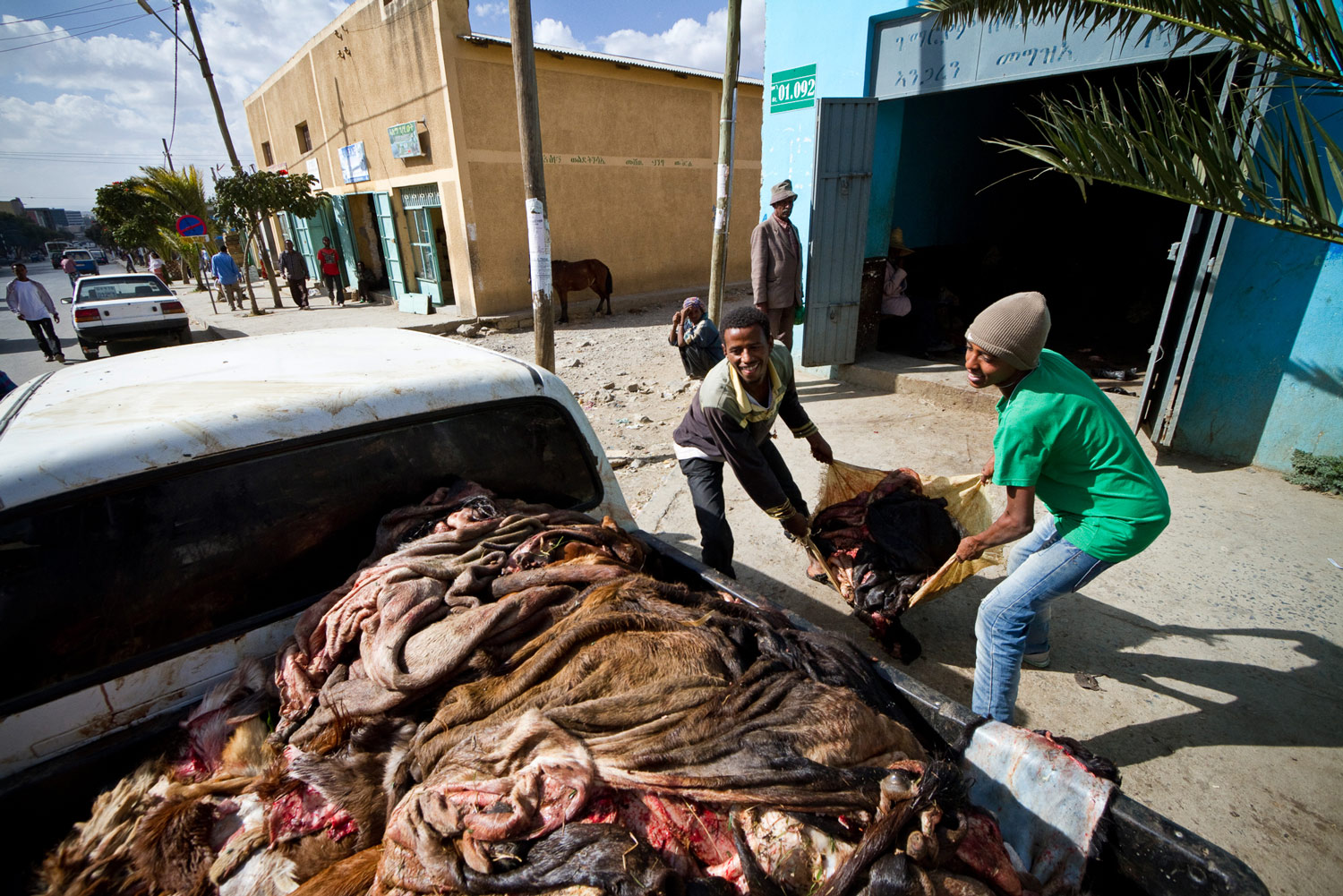 ethiopia-tigray-sheep-goat-hides-skins.jpg