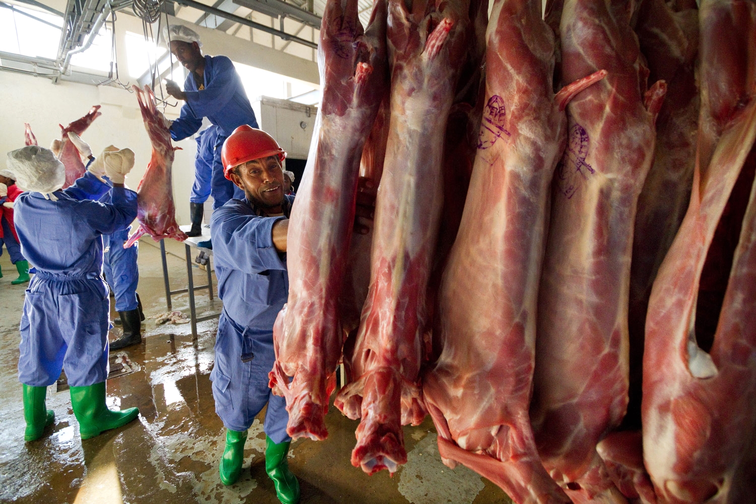 ethiopia-meat-export-slaughterhouse.jpg