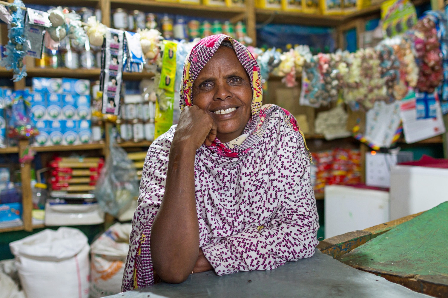  OPEN THIS PUBLICATION  RESILIENCE IN ACTION: CHANGING HORIZONS IN ETHIOPIA'S DRYLANDS  