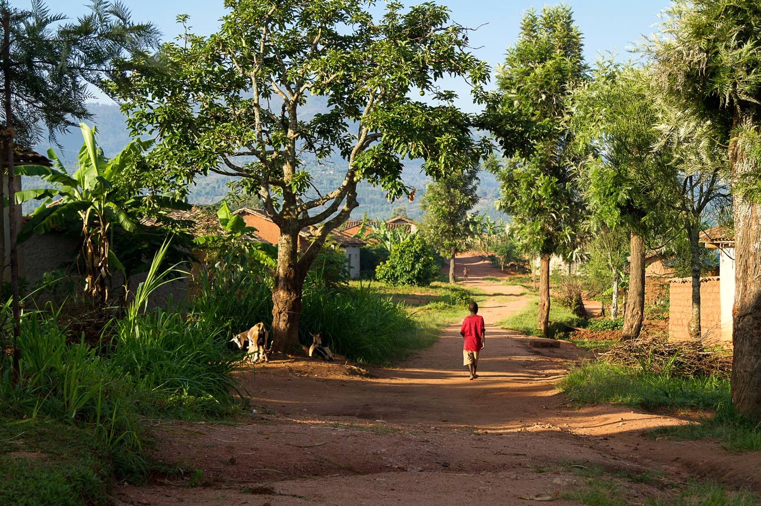 OPEN THIS PUBLICATION A CUP OF WATER: FULFILLING CHILDREN'S DREAMS THROUGH WASH