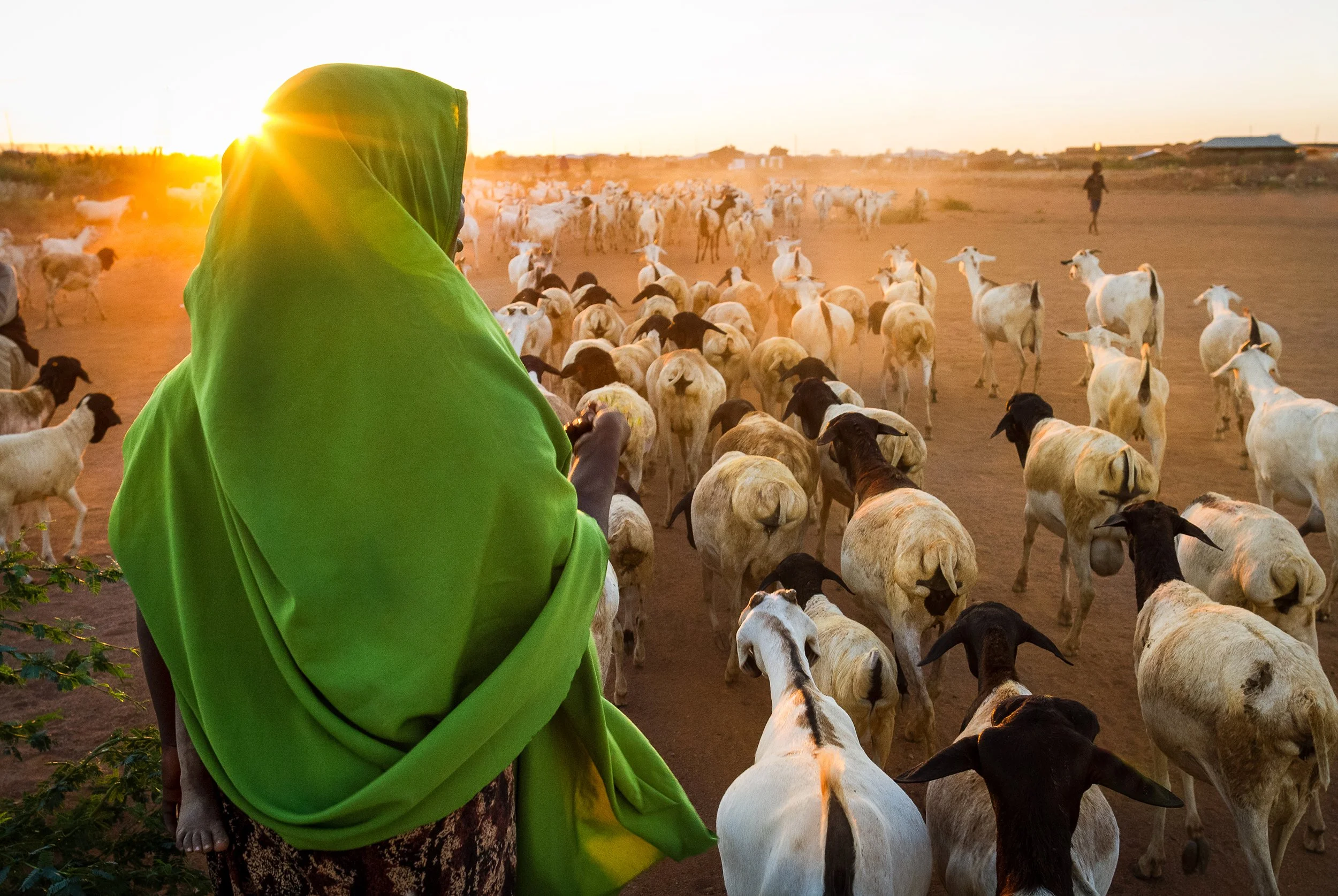 2012 USAID ET K Lynch 6456 web size-.jpg