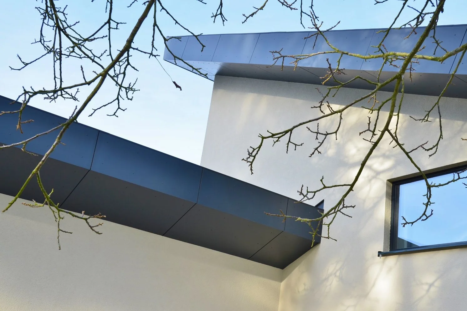 FLO- (00)-vignette.jpg