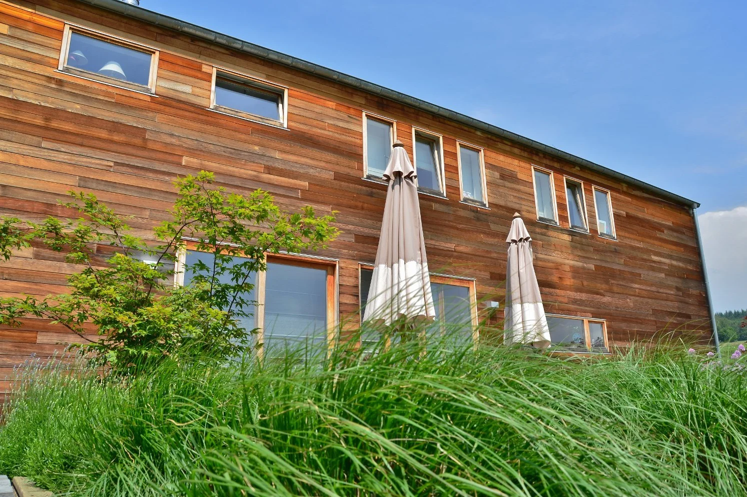 CDV- (00)-vignette.jpg