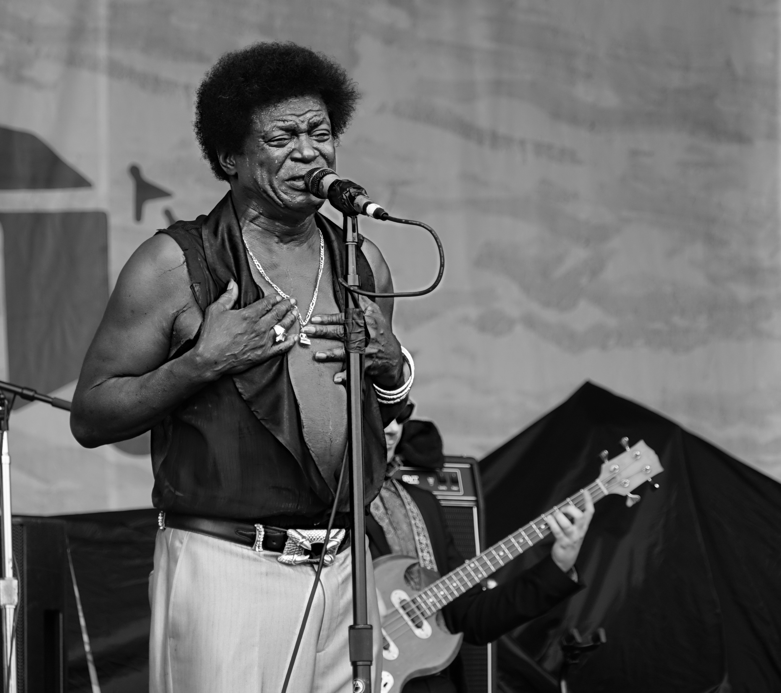 A Charles Bradley and his Extroidanaires (90).JPG