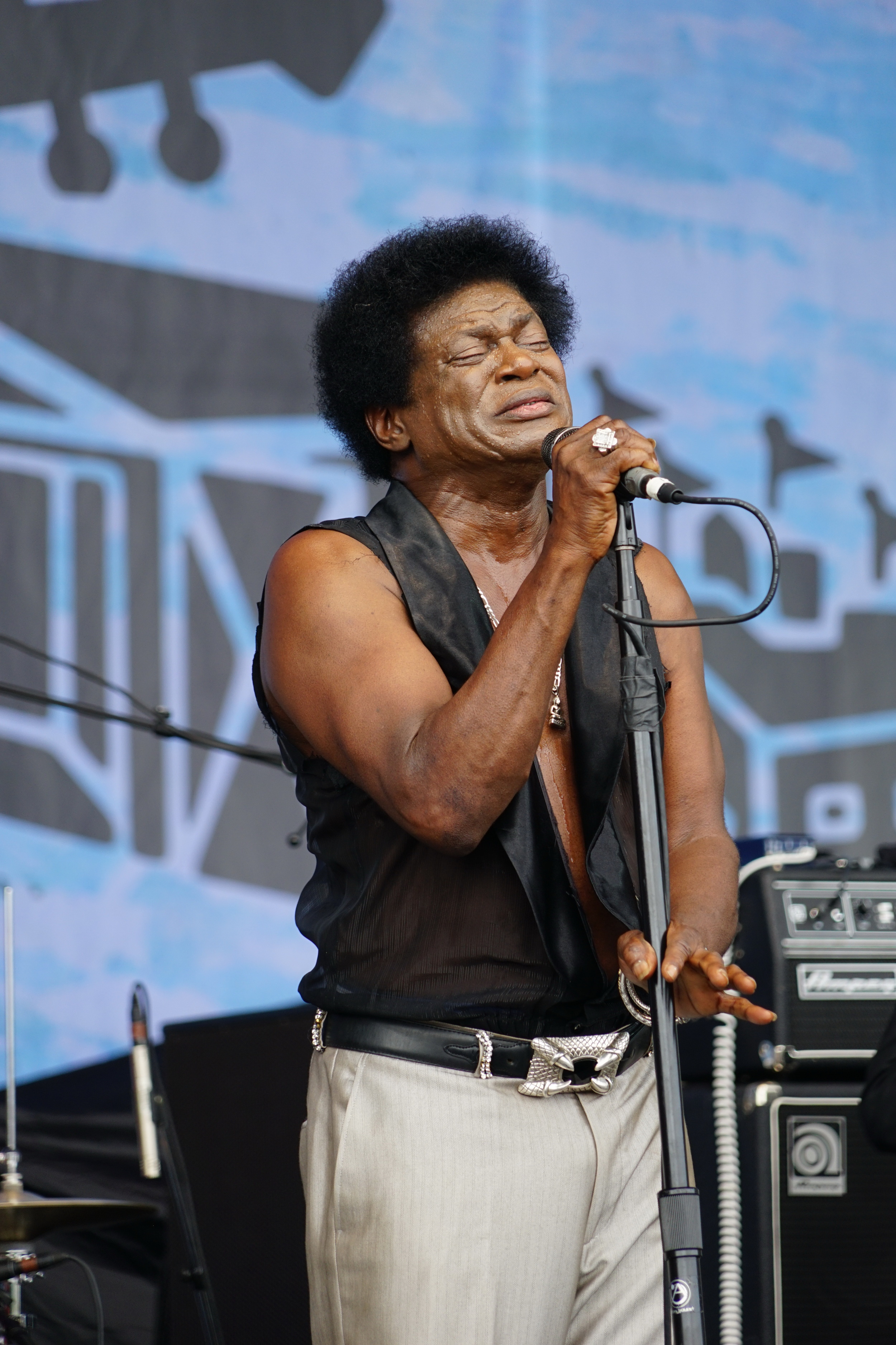 A Charles Bradley and his Extroidanaires (58).JPG