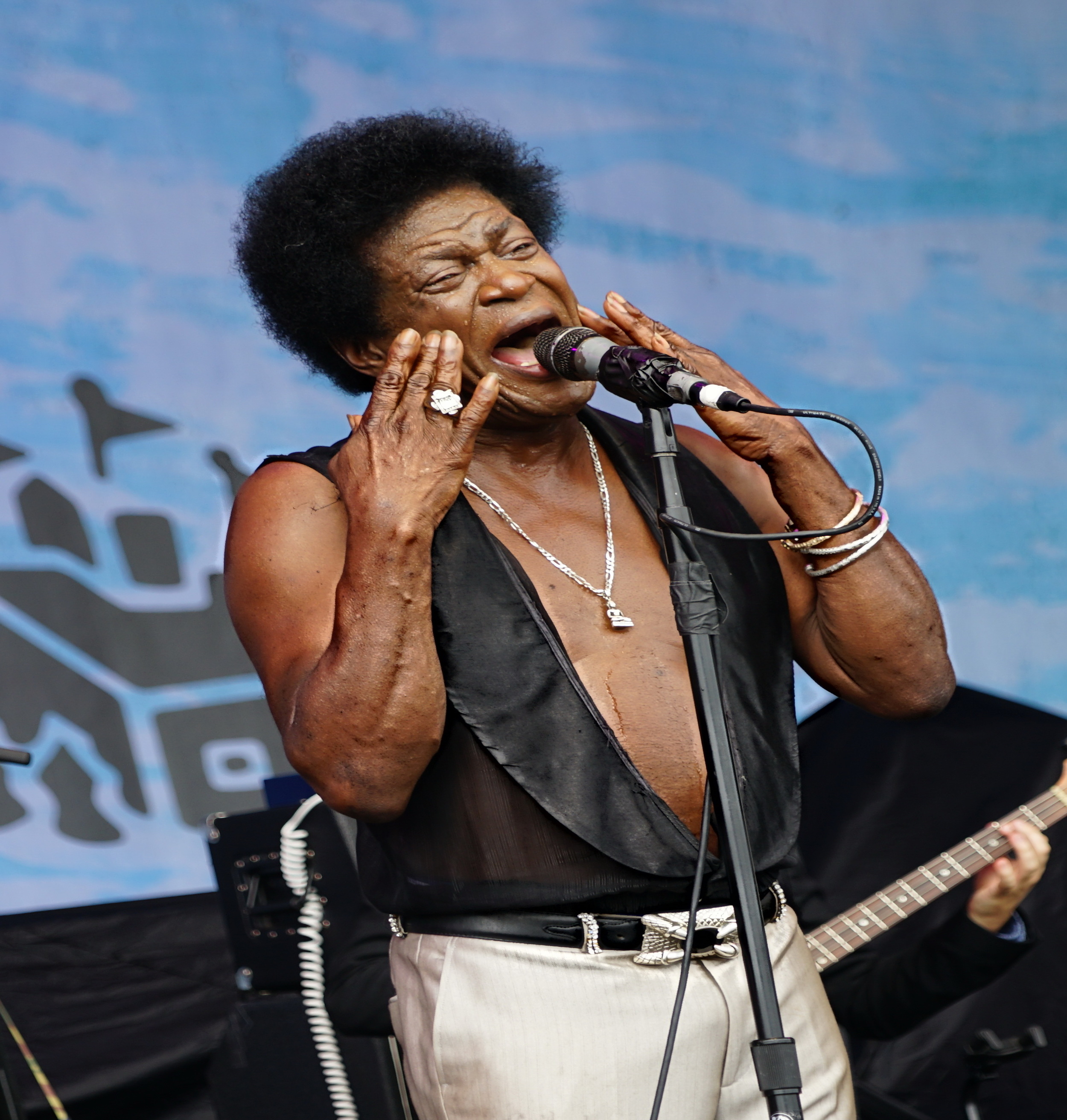 A Charles Bradley and his Extroidanaires (100).JPG
