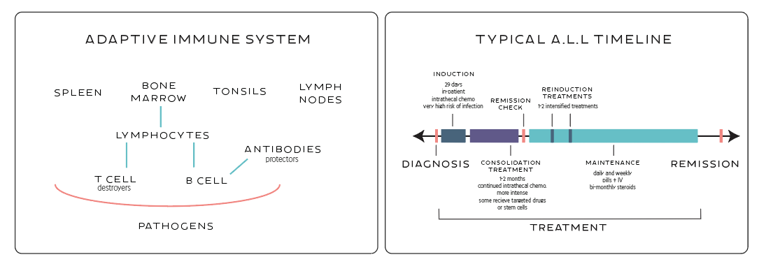 Seeing Inside Treatment