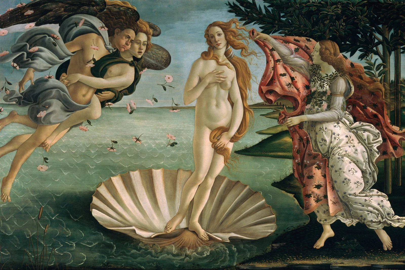 Venus on the Half Shell.jpg
