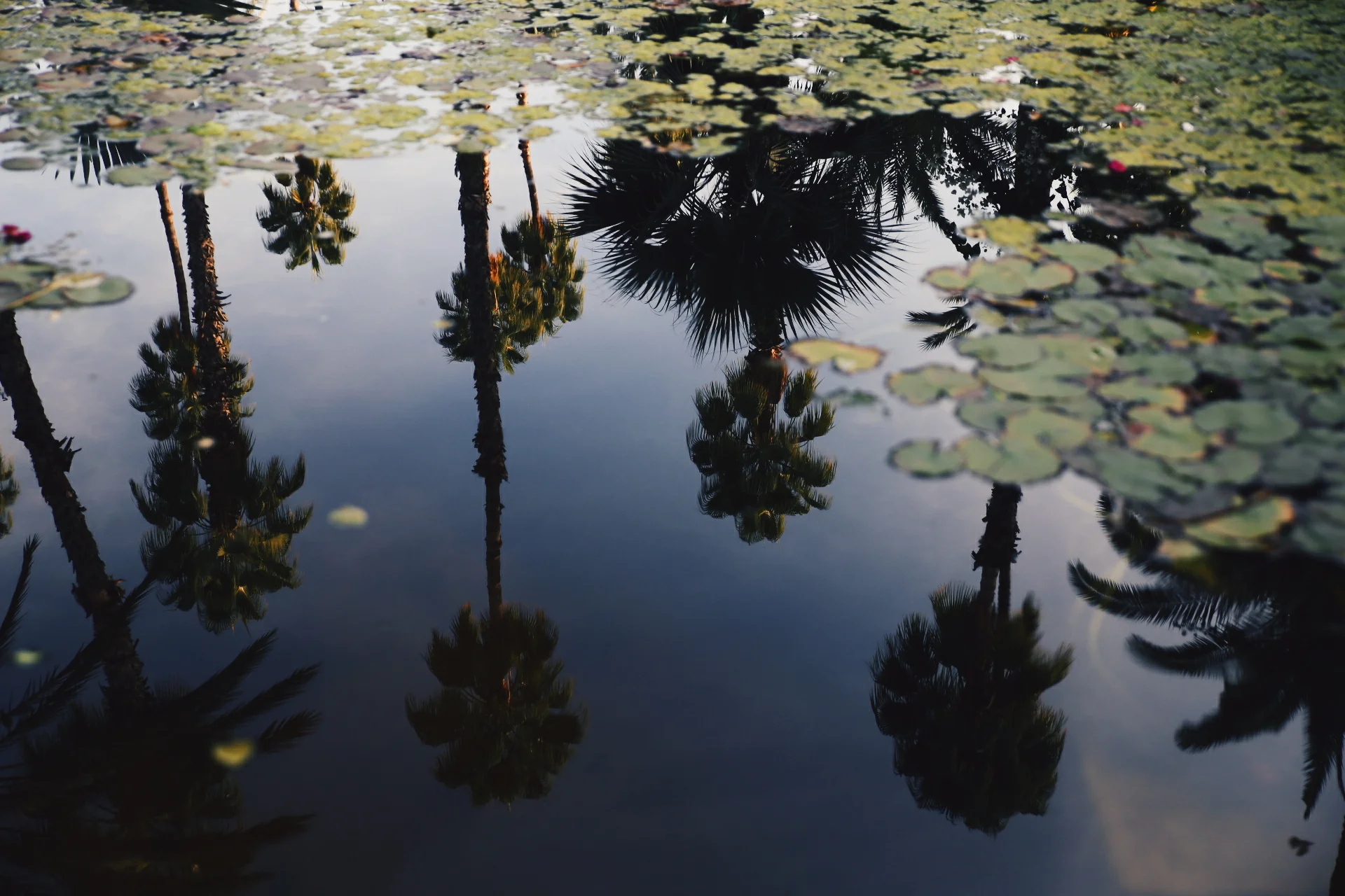 2015-12-22 08.16.22 1.jpg