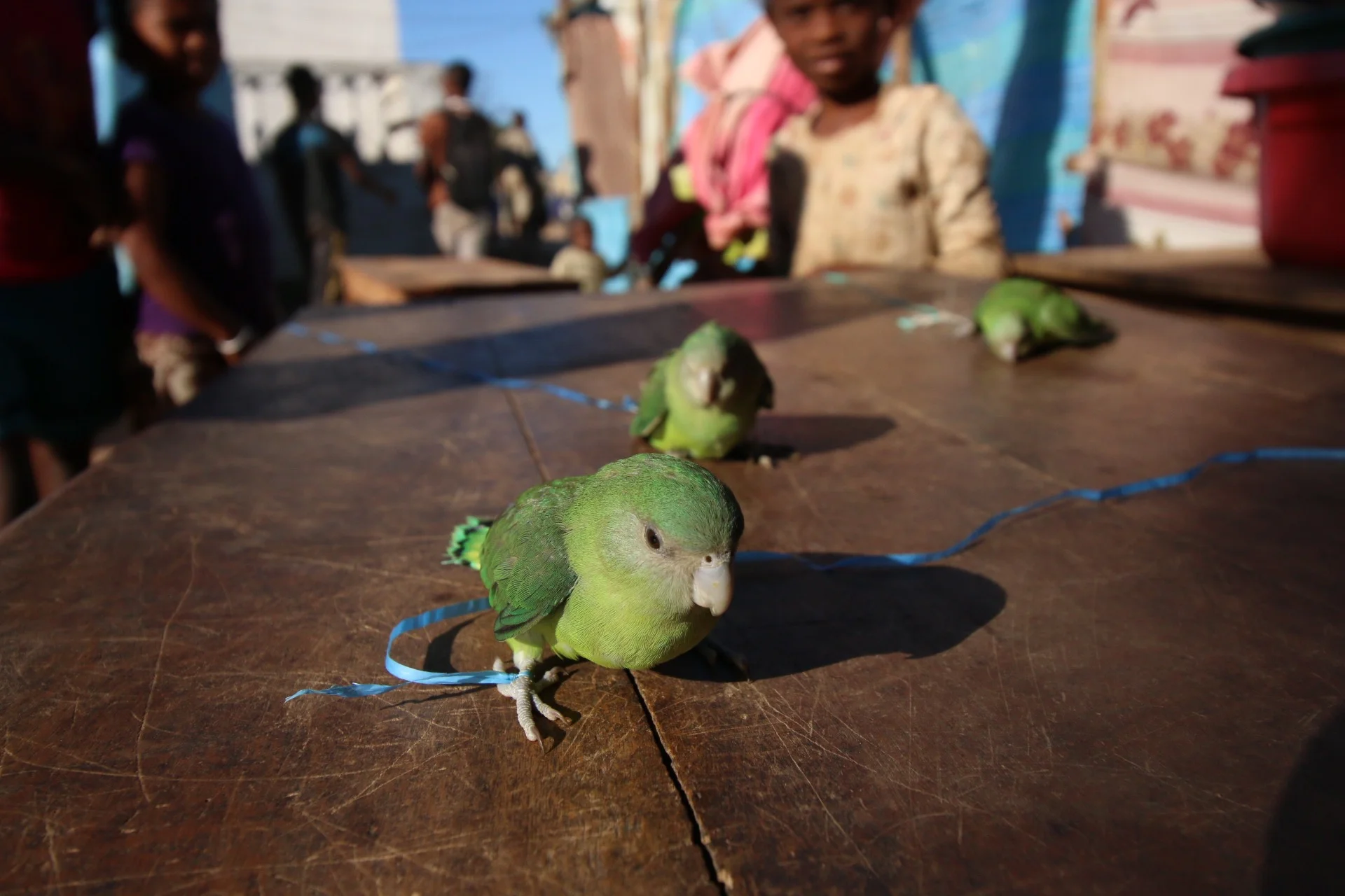 Market, Madagascar
