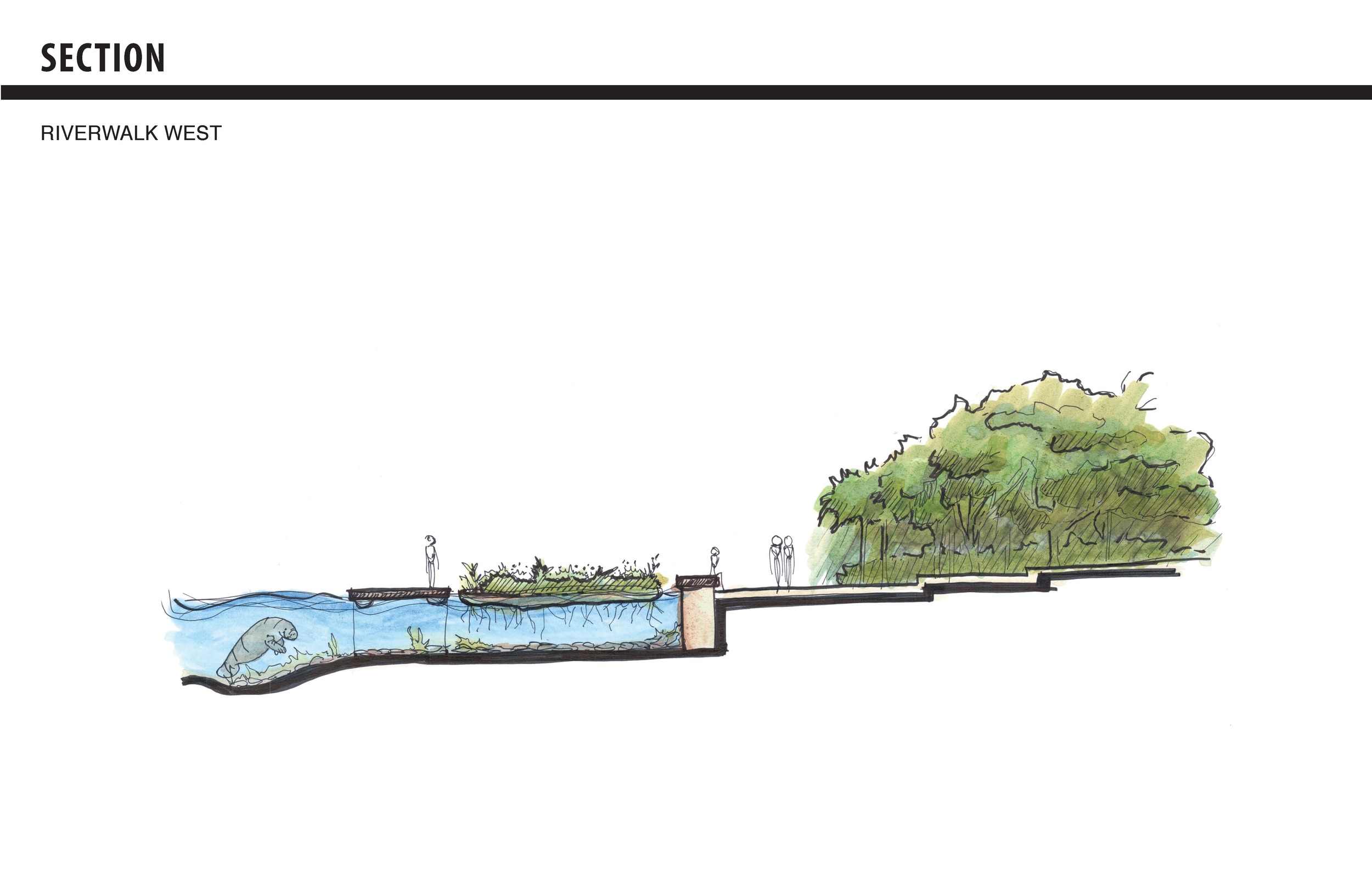 EDSA Charrette Week 2016_Page_24.jpg