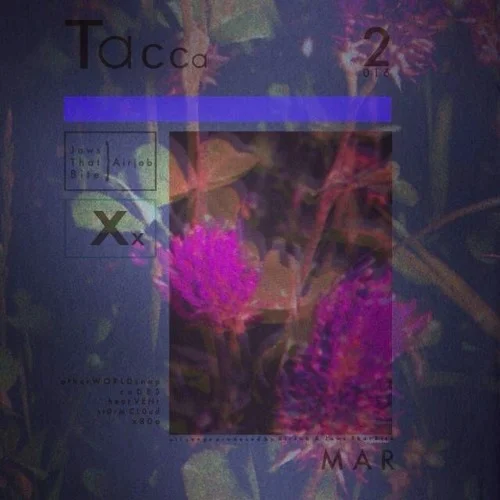 Tacca_artwork.jpg