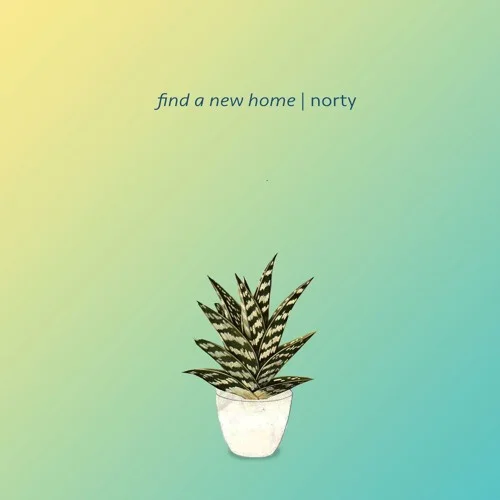 FIND A NEW HOME NORTY Digital