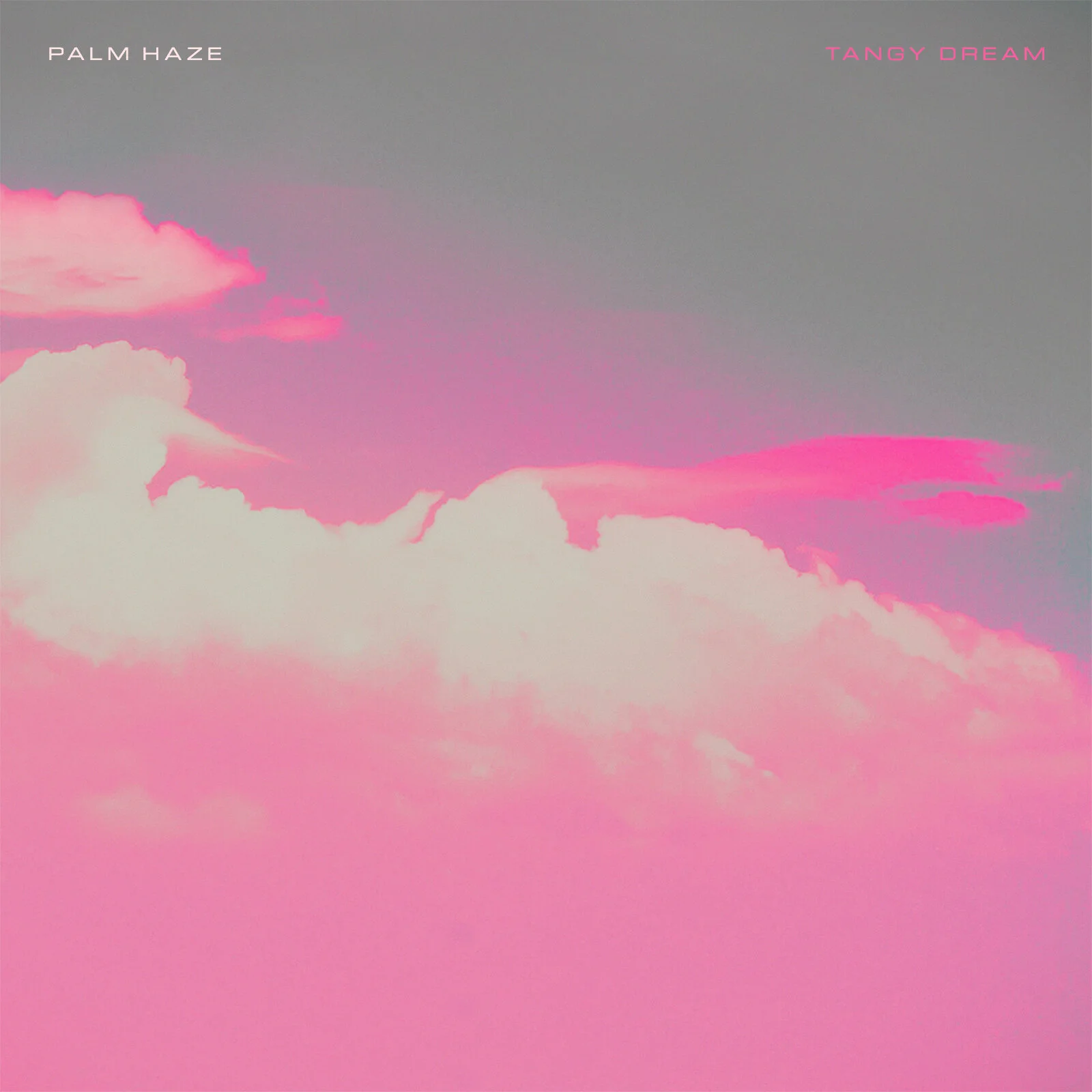 TANGY DREAM PALM HAZE Cassette