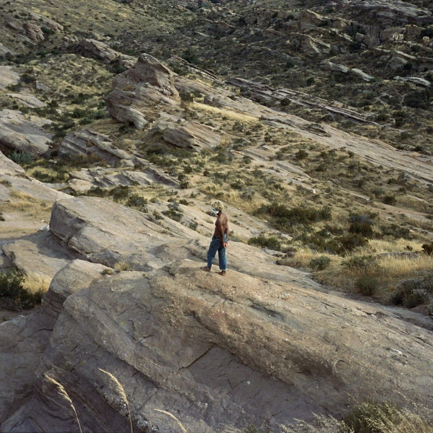   Artist : In Kind  Title : Suga  Format :  Digital   Catalog : YD20102   