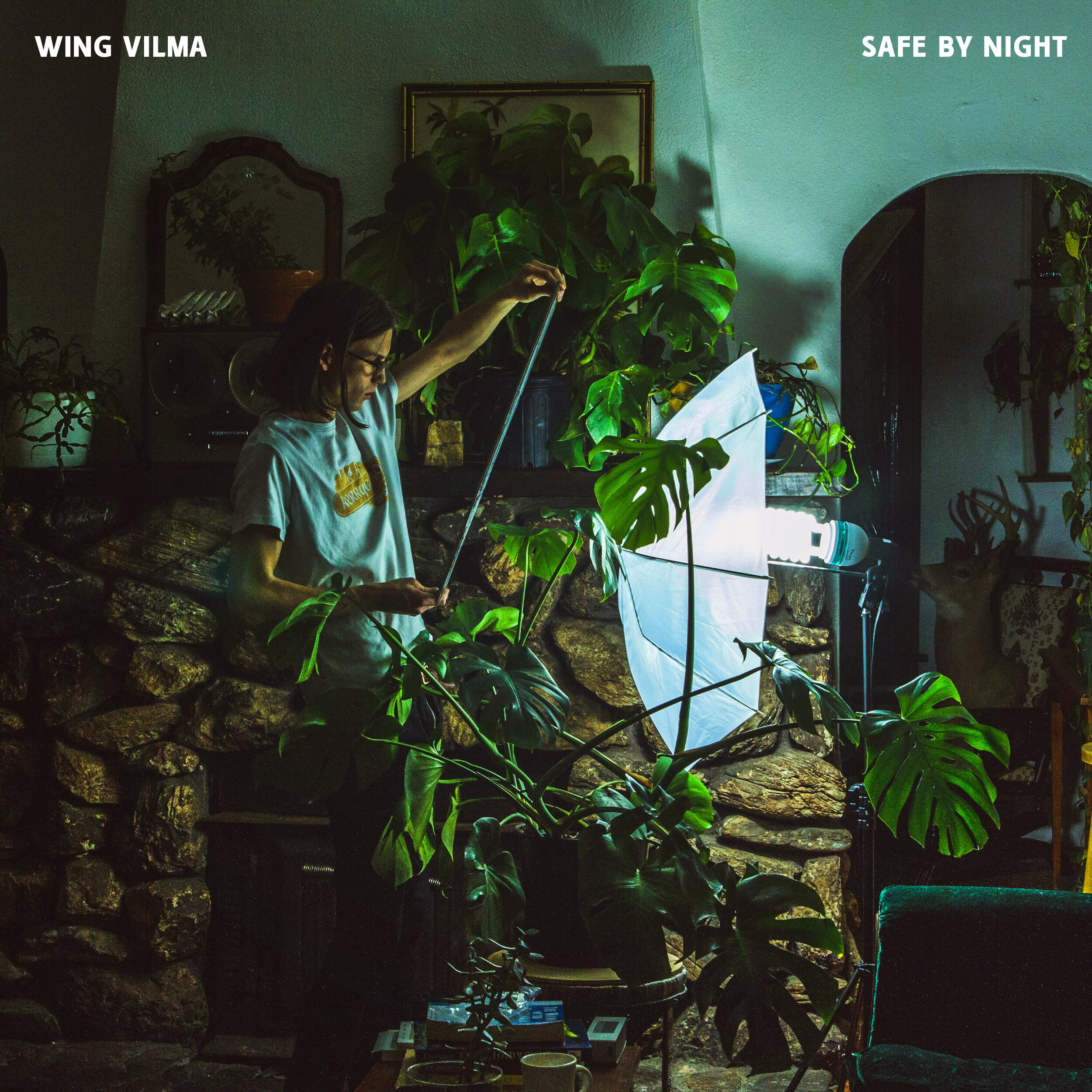 Wing Vilma - Safe By Night – $6.00