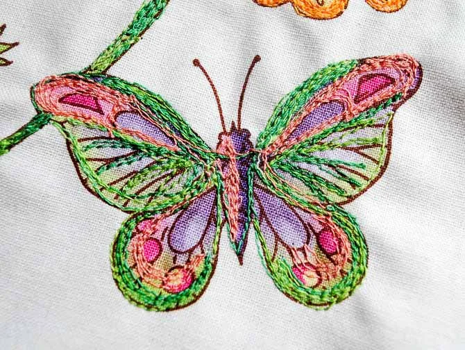 closeupofbutterfly.jpg