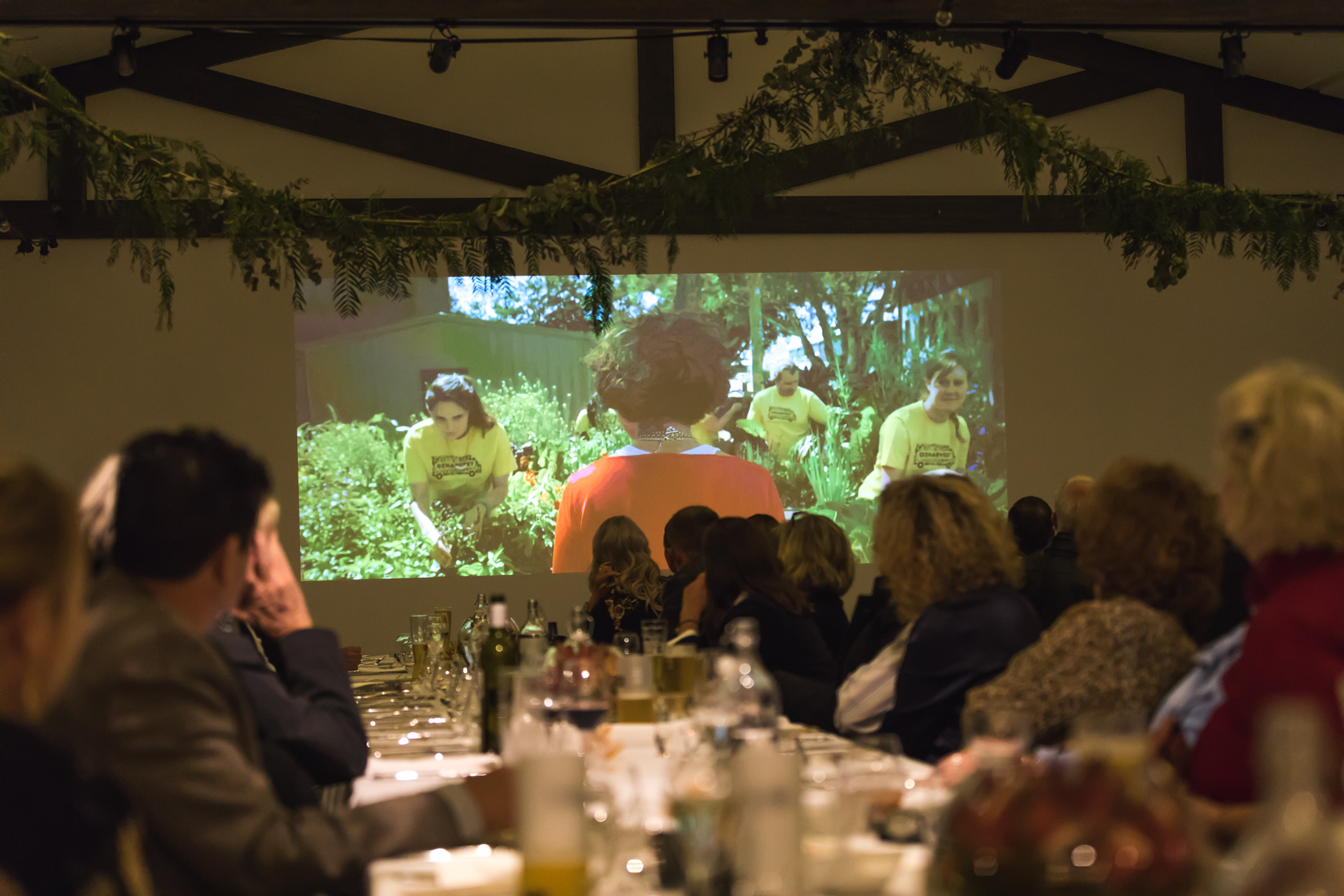 BoxGrove_Neighbours_Dinner_Web-37.jpg