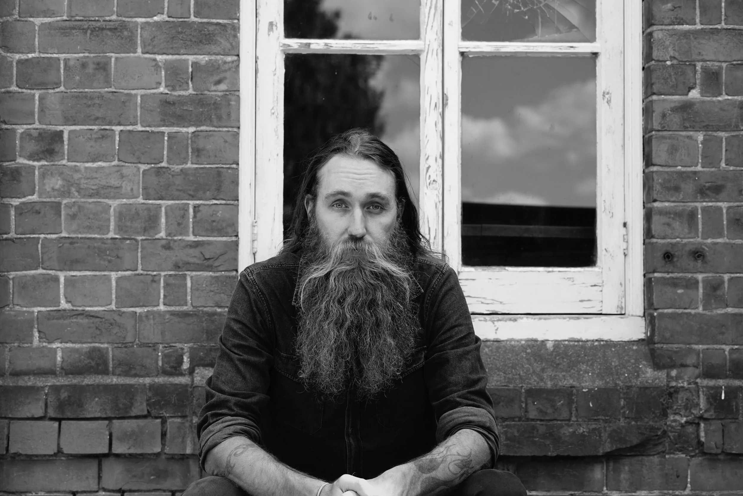 Meeting The Neighbours - Andy Nelson