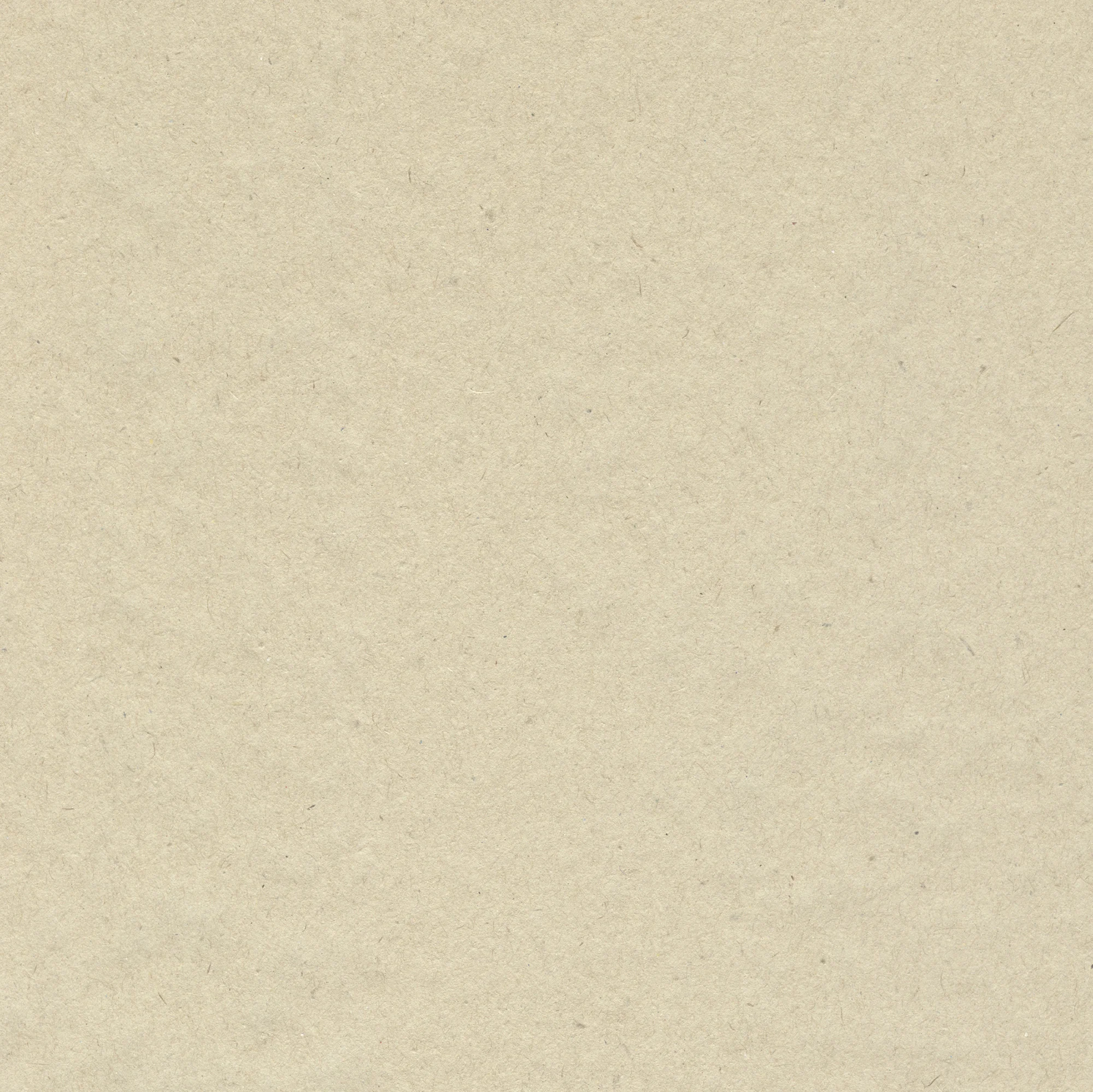 iStock_000009583846_lores.jpg