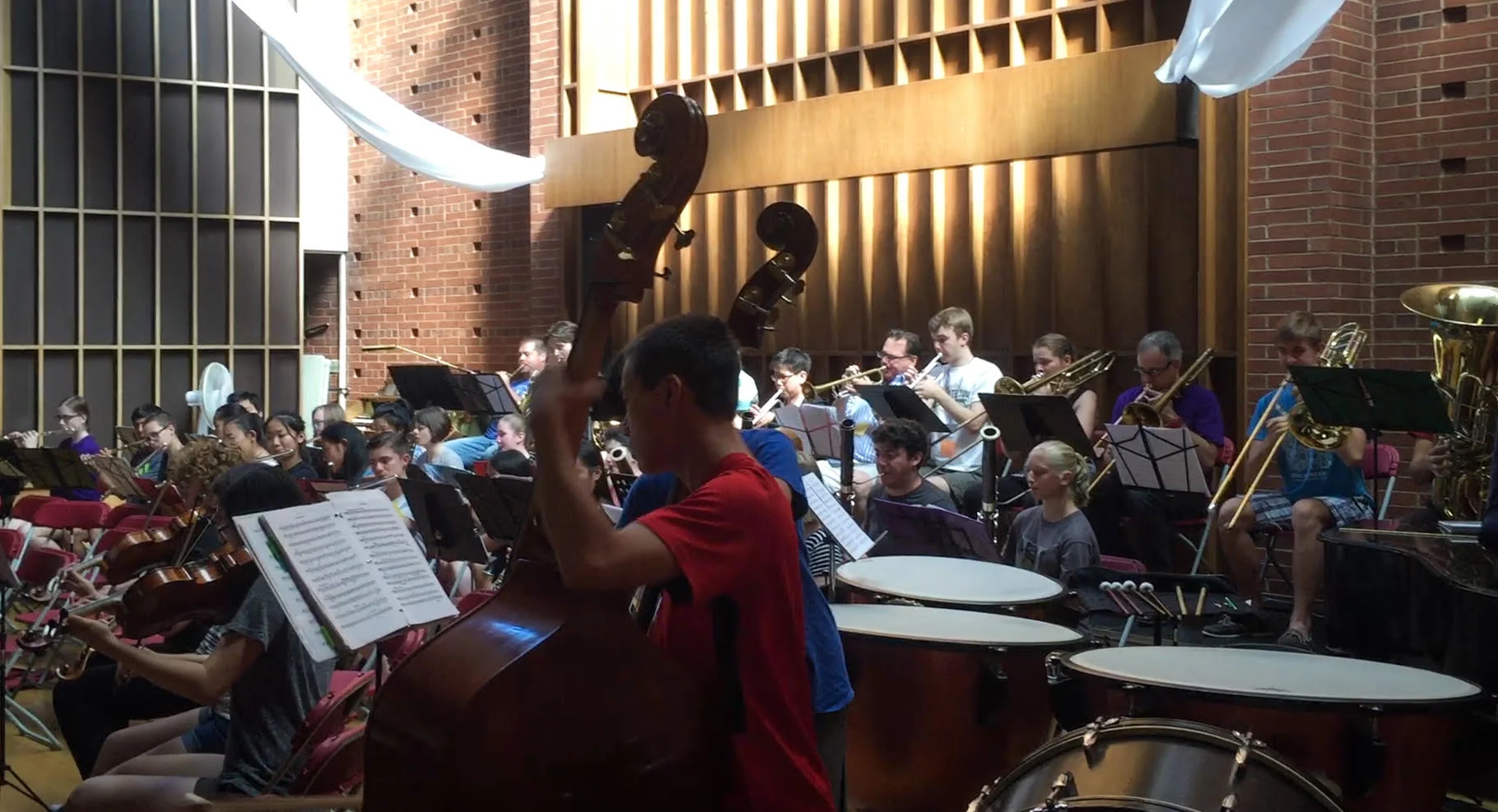 orch.jpg