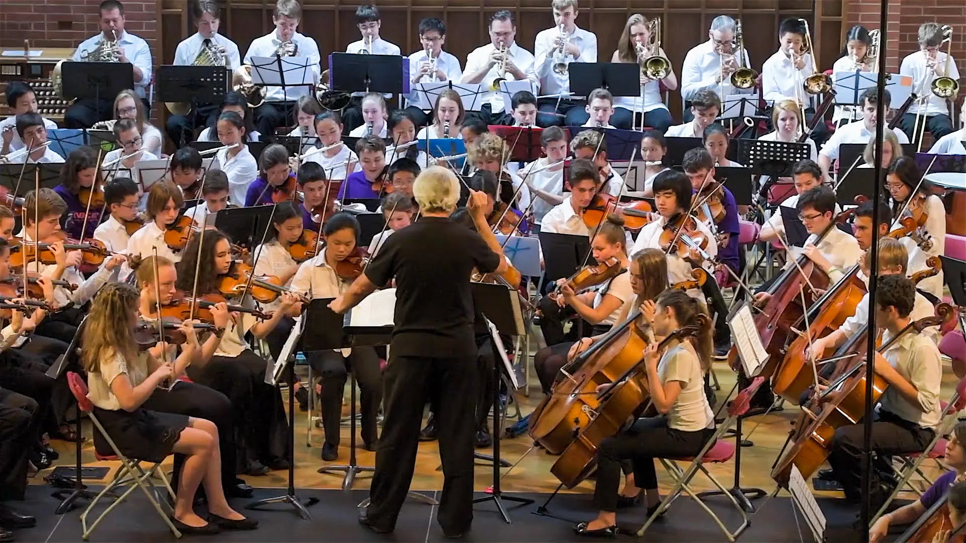 orchestra.jpg