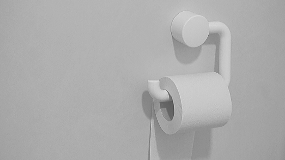 Double Roll Toilet Paper Holder Wall Mount With Shelf Holds 2