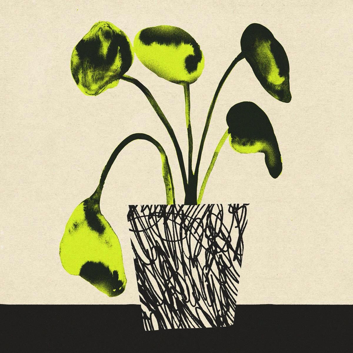 Image 4-17-20 at 5.37 PM.JPG