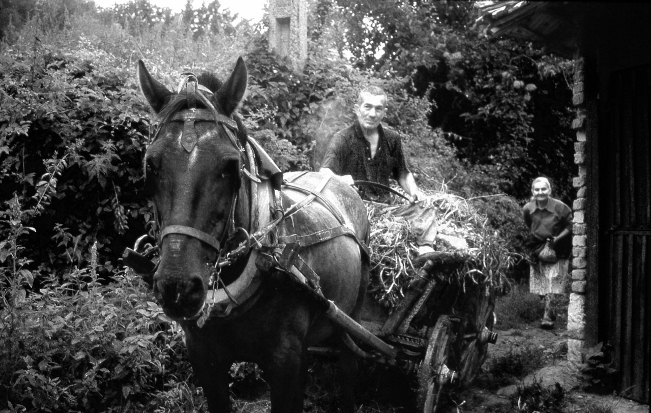 Man and Horsecart, Bulgaria