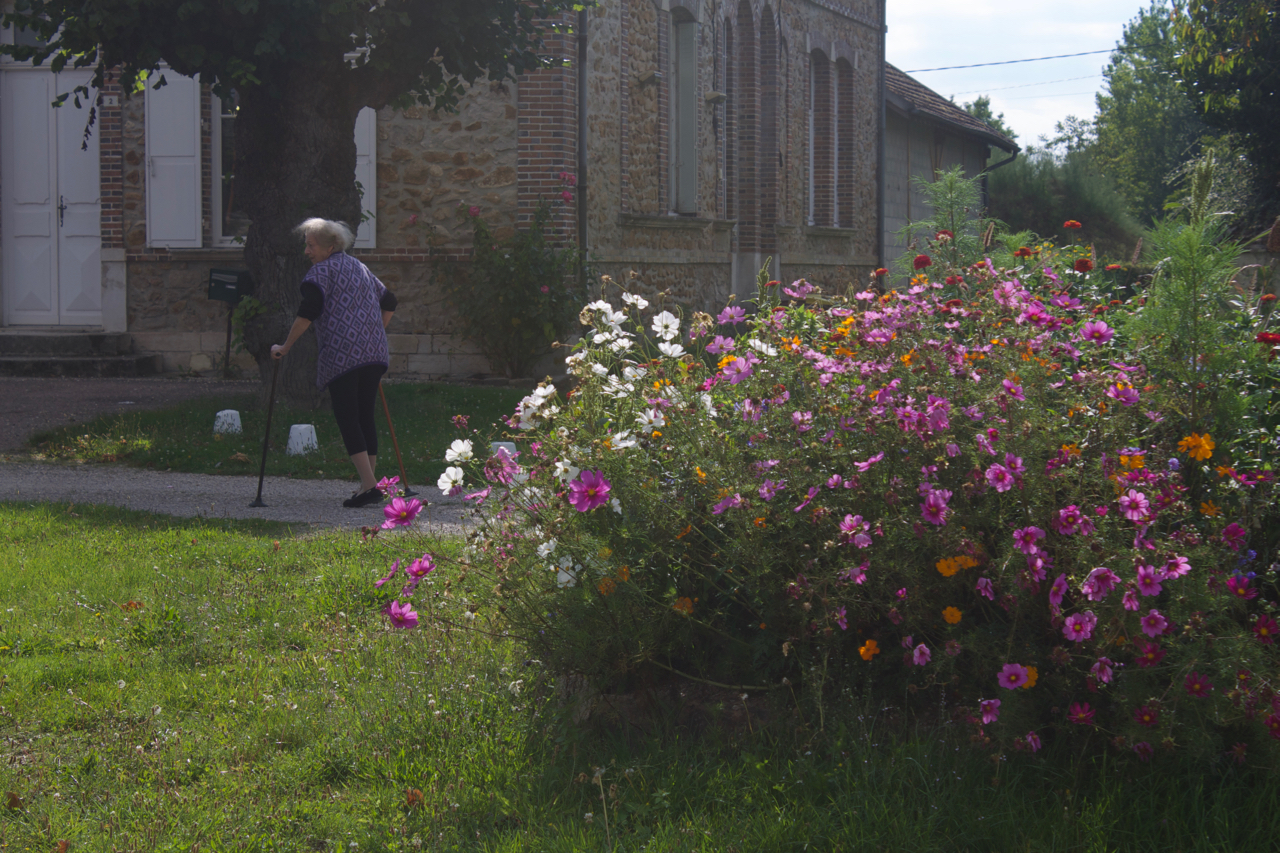 Fleurs, Marnay-sur-Seine, France