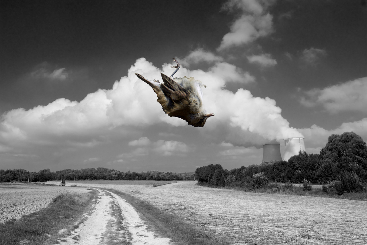 Nuclear Bird, Artist Residency, Champagnes-Ardennes