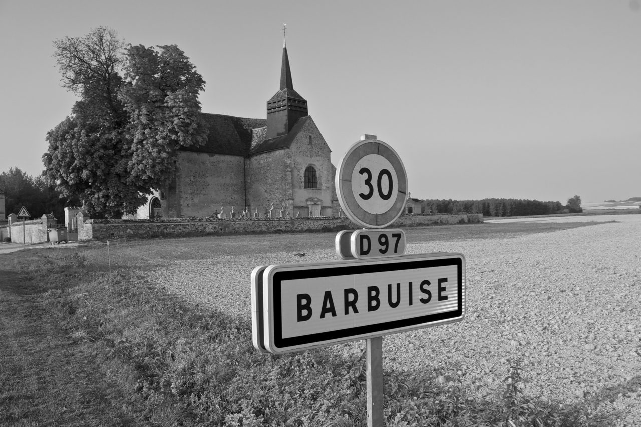 Barbuse