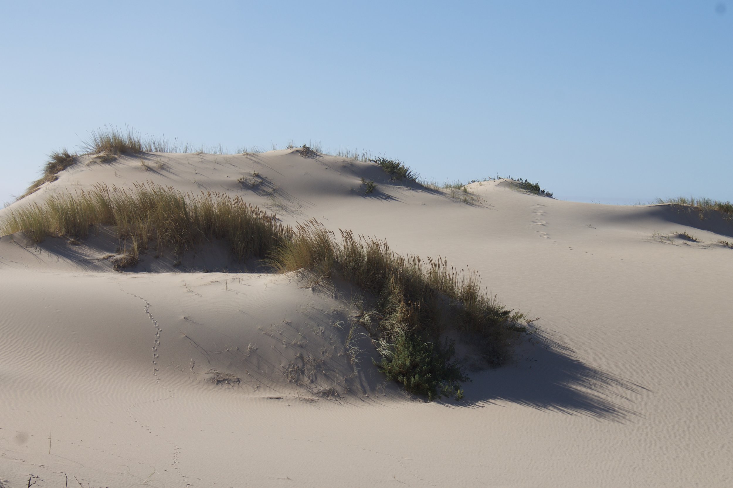 Dunes, Sintra Portugal