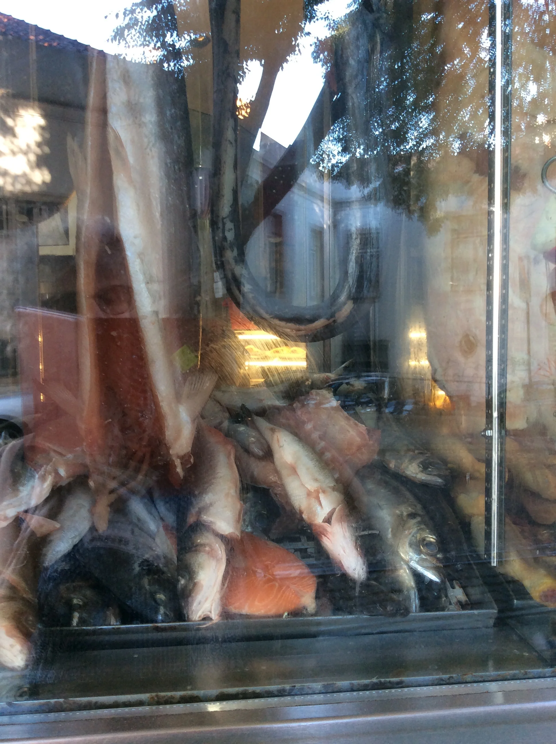 Peixe, Lisbon, Portugal