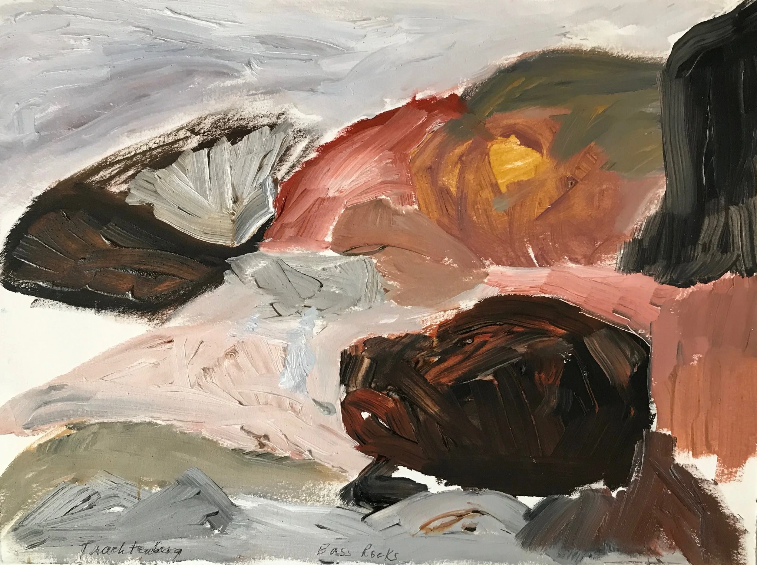 Bass Rocks, Gloucester