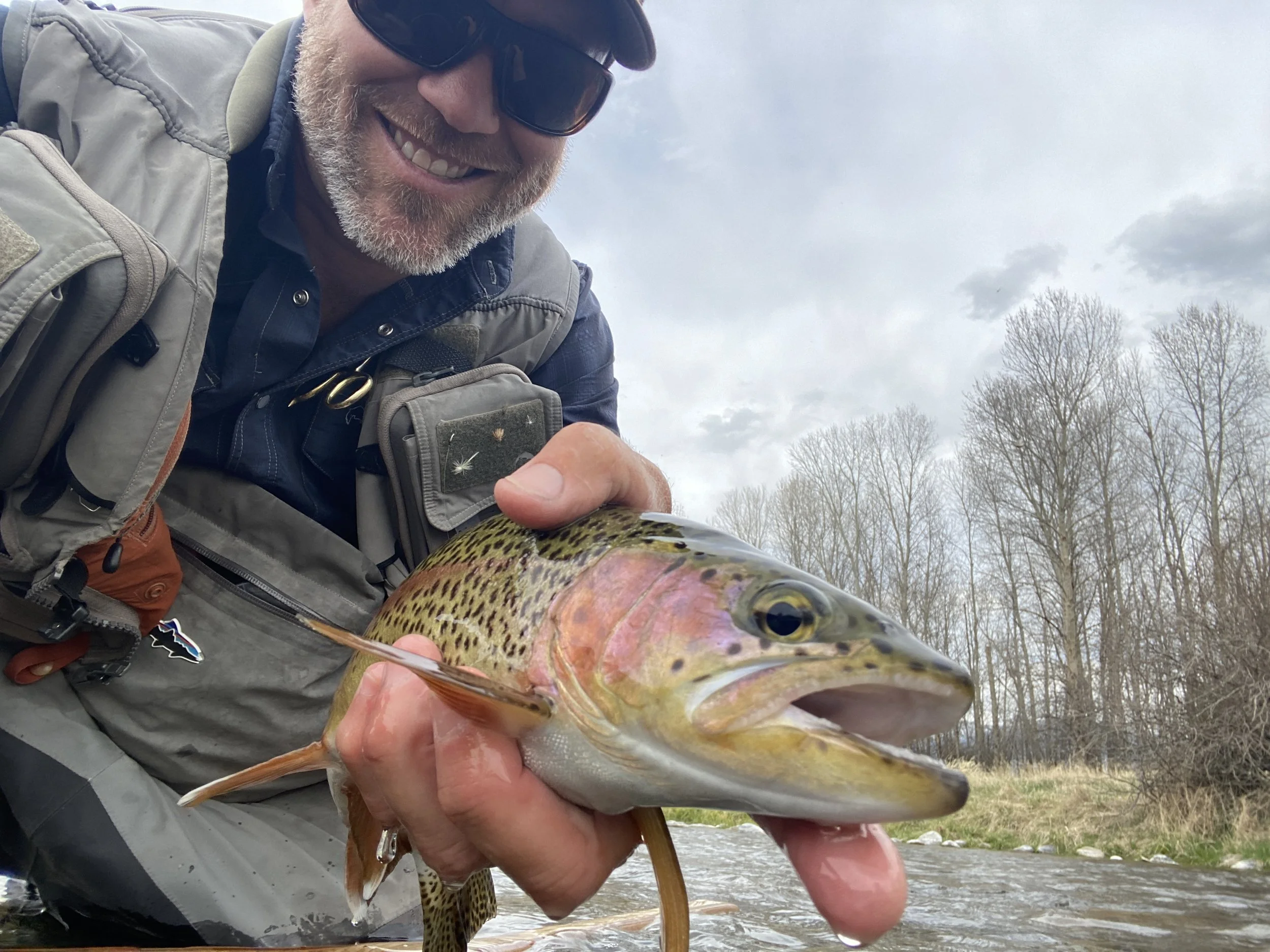 Winter Fly Fishing on the Paradise Valley Spring Creeks