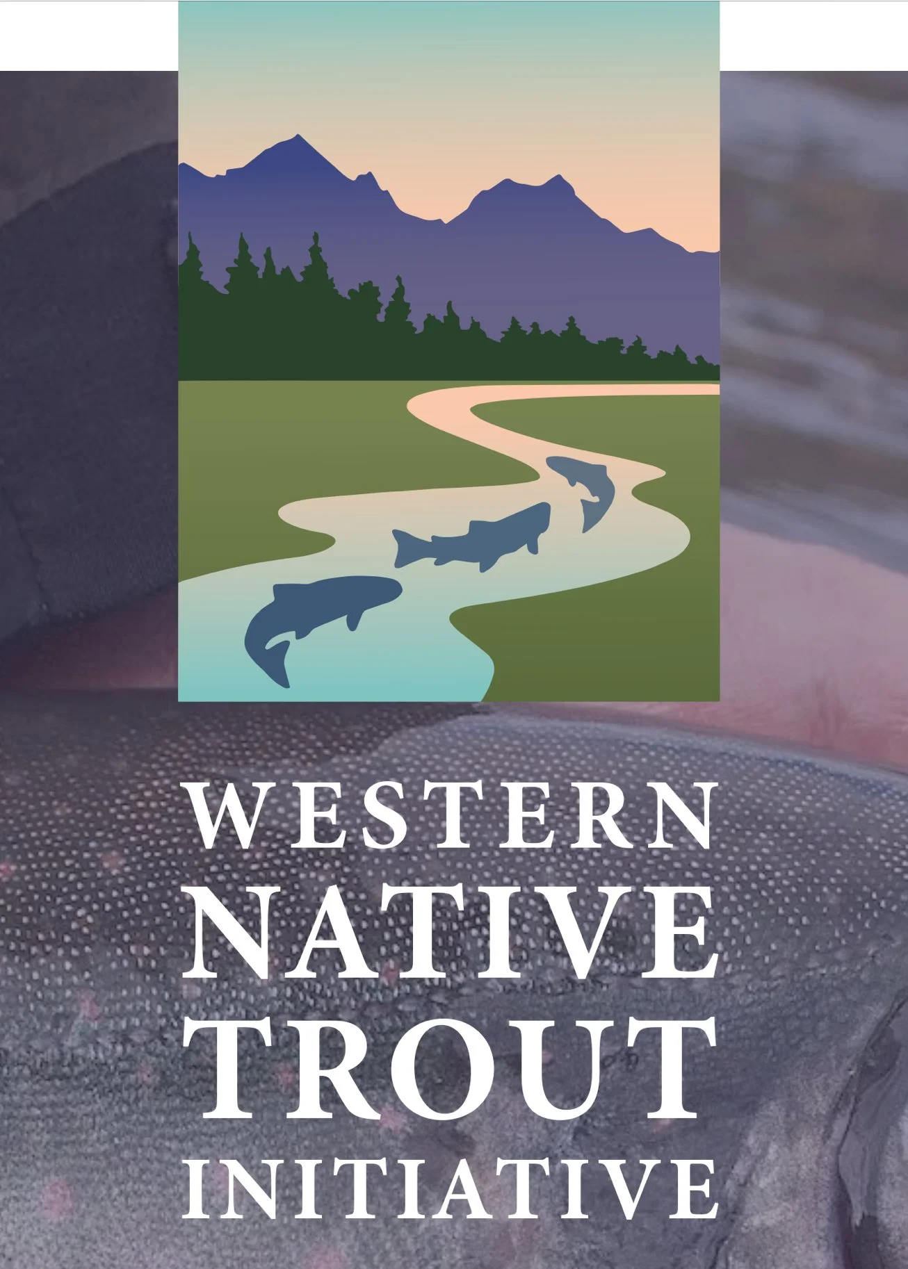 The Western Native Trout Challenge