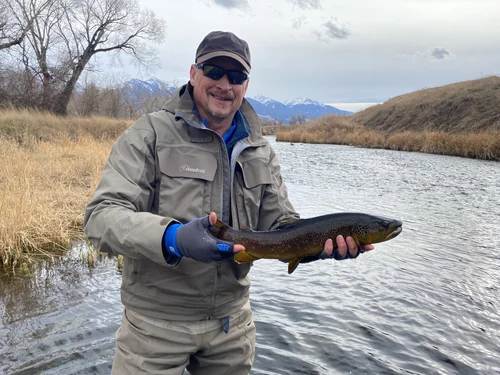 Paradise Valley spring creek winter fly fishing DePuy’s and Armstrong’s