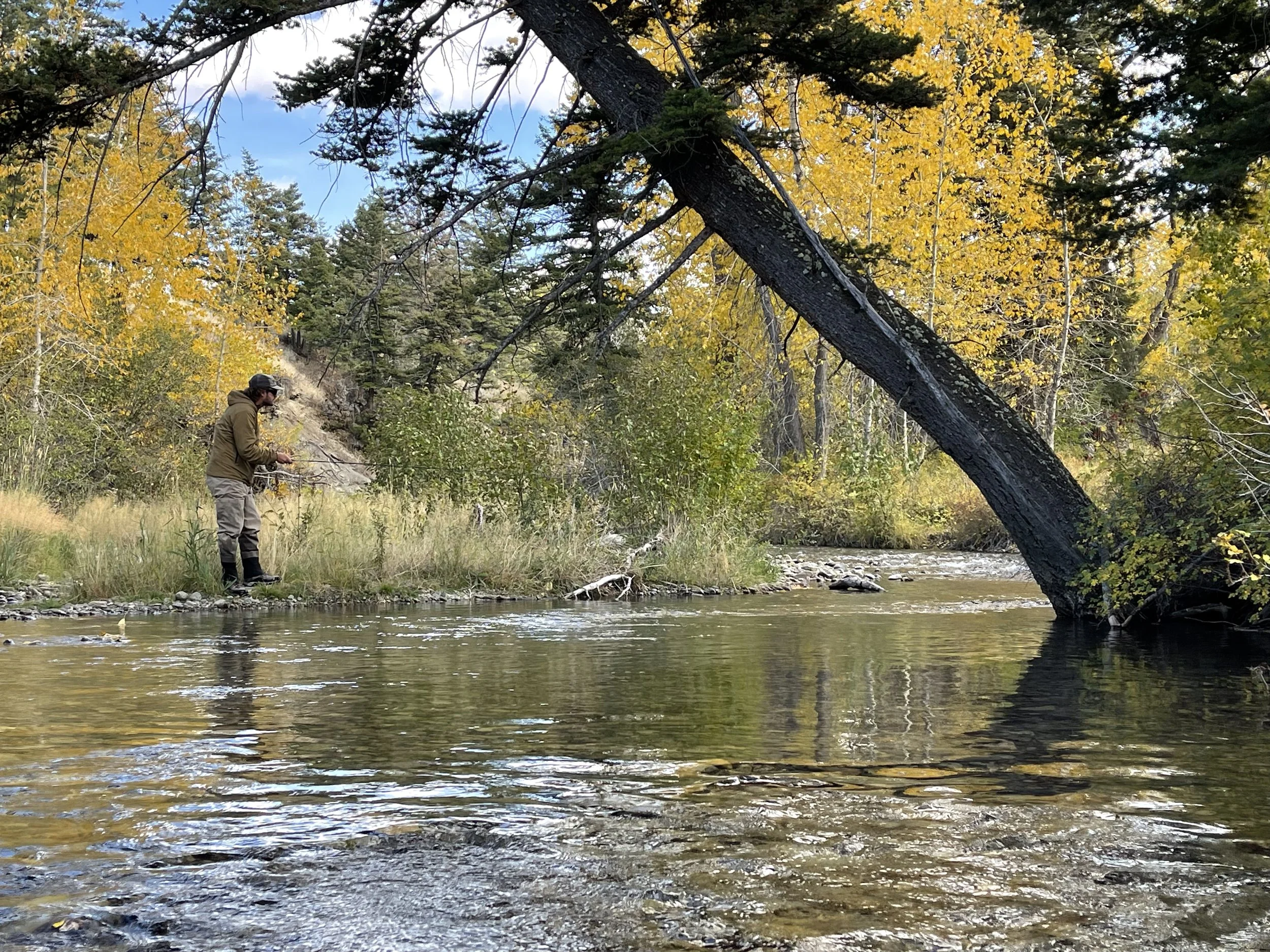 Why the River Doesn’t Give Answers, It Removes Noise