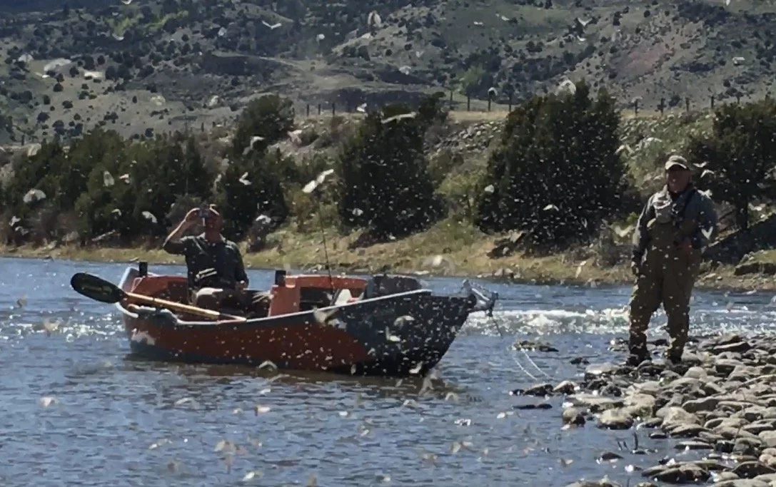 Choosing the Right Water from March Through Early June